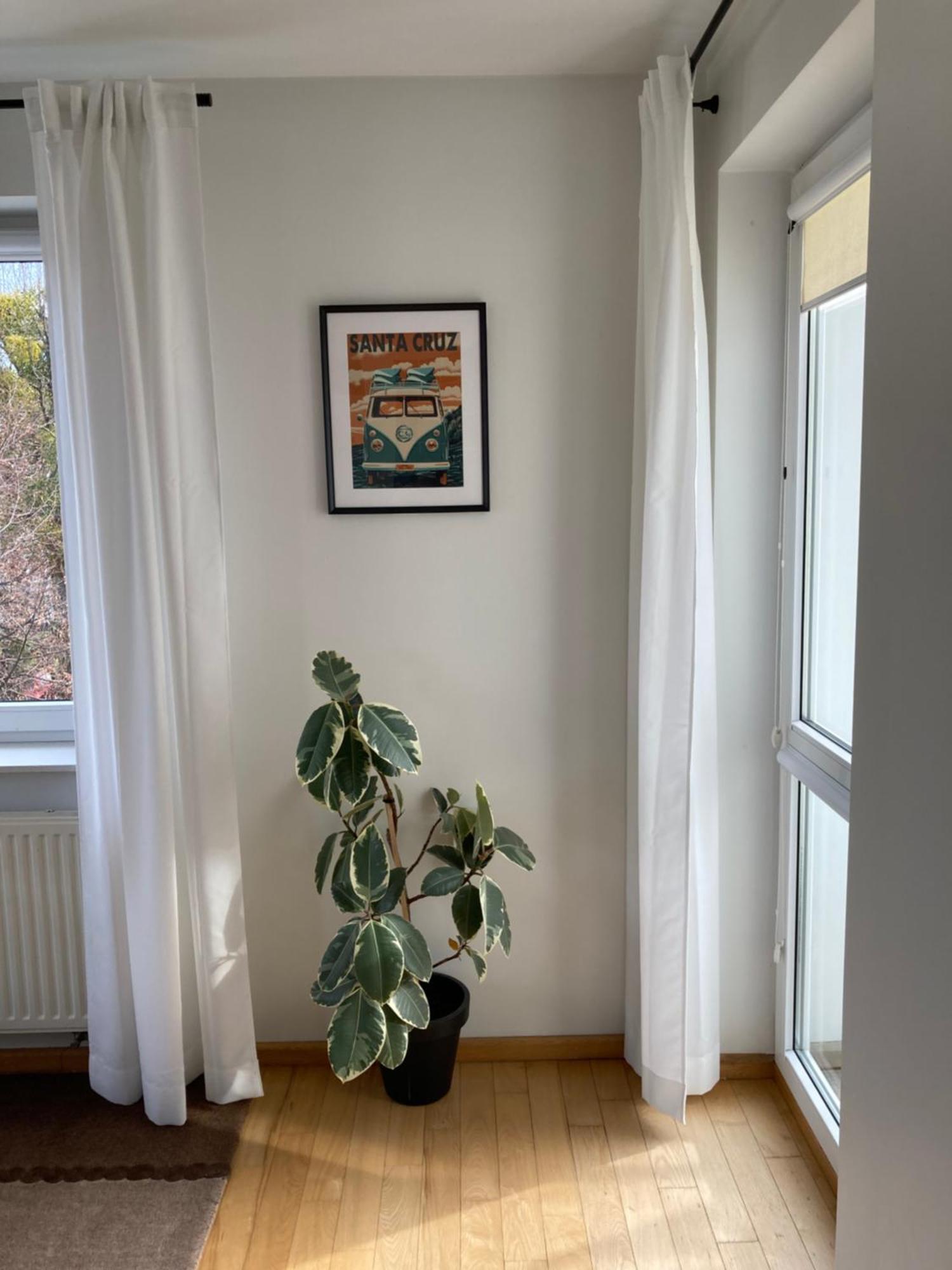 Apartment Argo