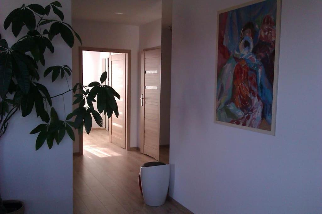 Lejlighed Peaceful Stay/heart Of Gdansk/unforgettable Gdańsk