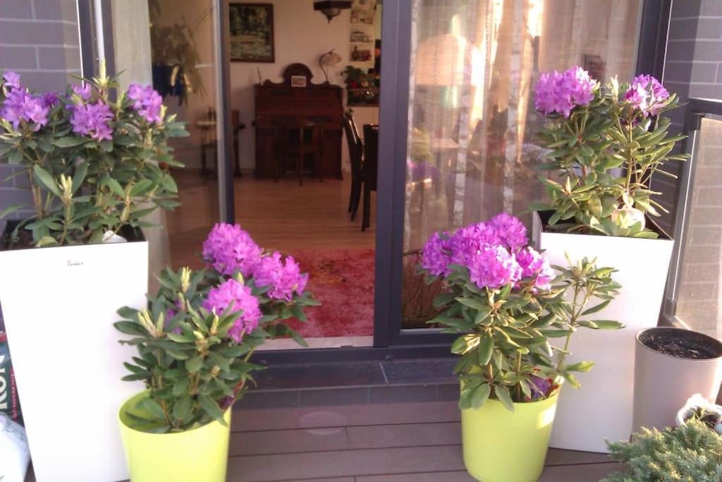 Peaceful Stay/heart Of Gdansk/unforgettable Lejlighed *