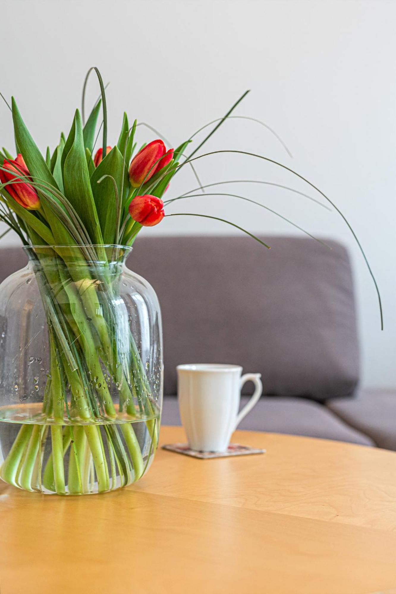 Neptun - Billberry Apartamento *