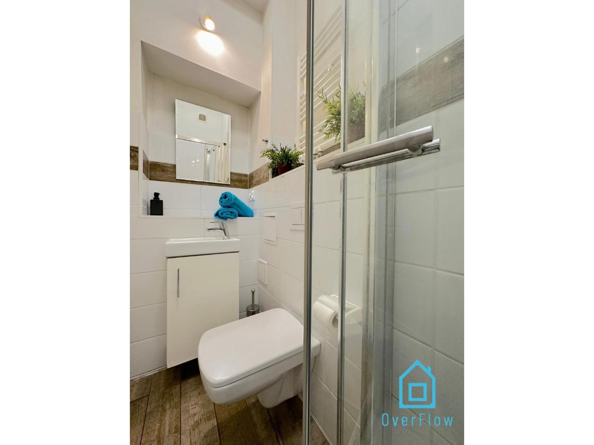 Apartment Stary Trakt 99 K2