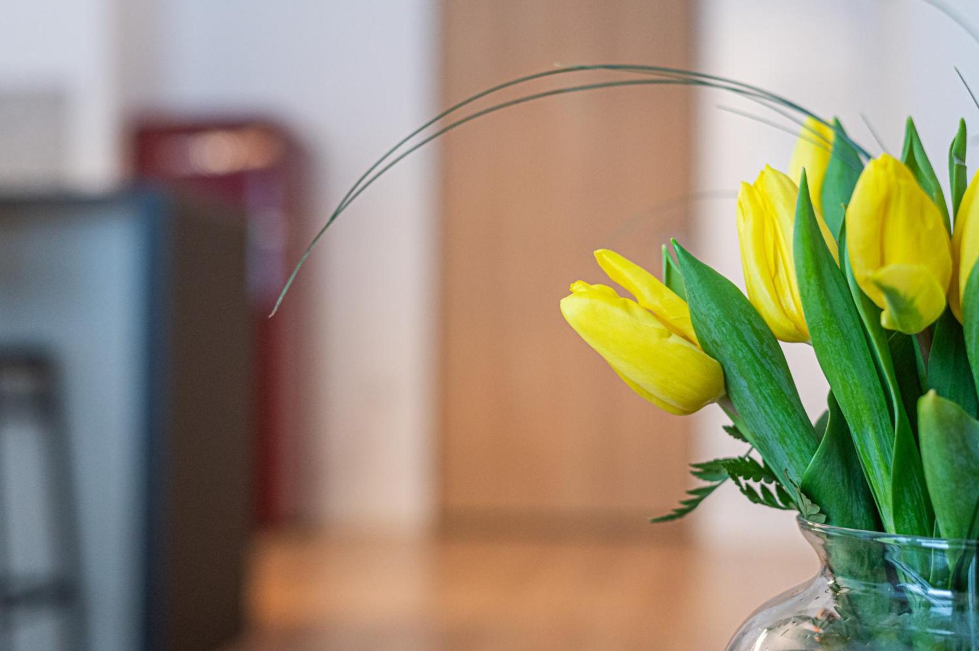 Latarnikow - Billberry Apartament Gdańsk