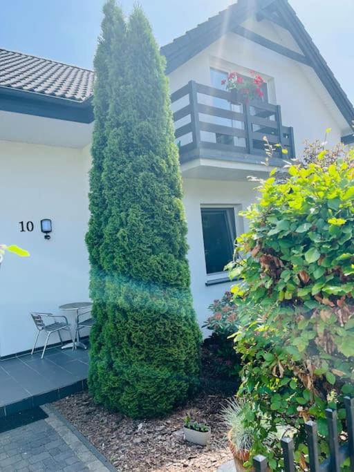 Holiday home Mulberry House *