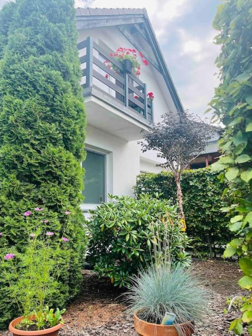 Holiday home Mulberry House Gdansk