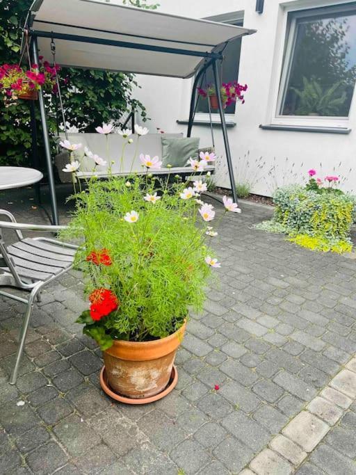 Holiday home Mulberry House