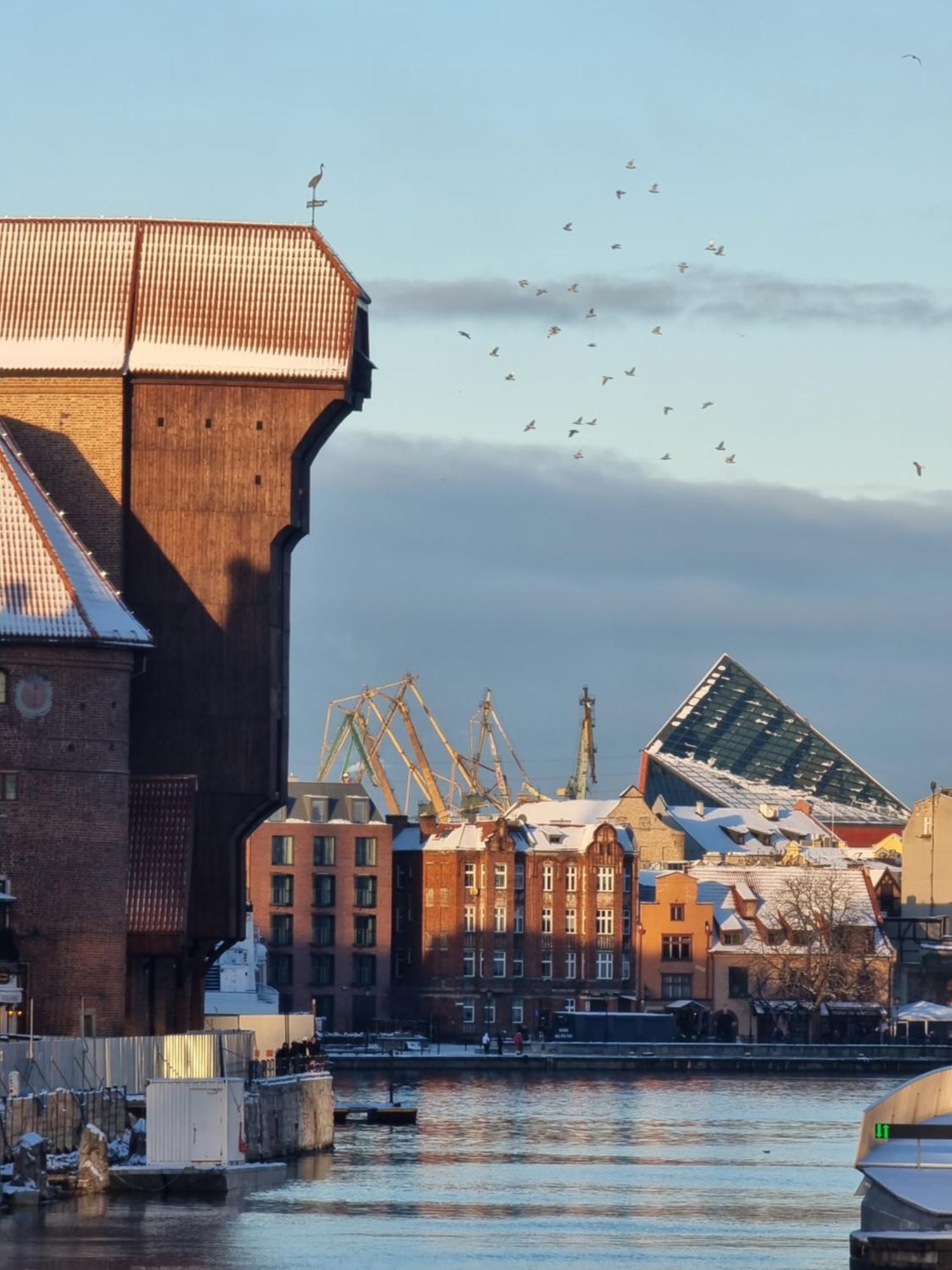 Birdnest Riverview Studio & Parking Gdańsk