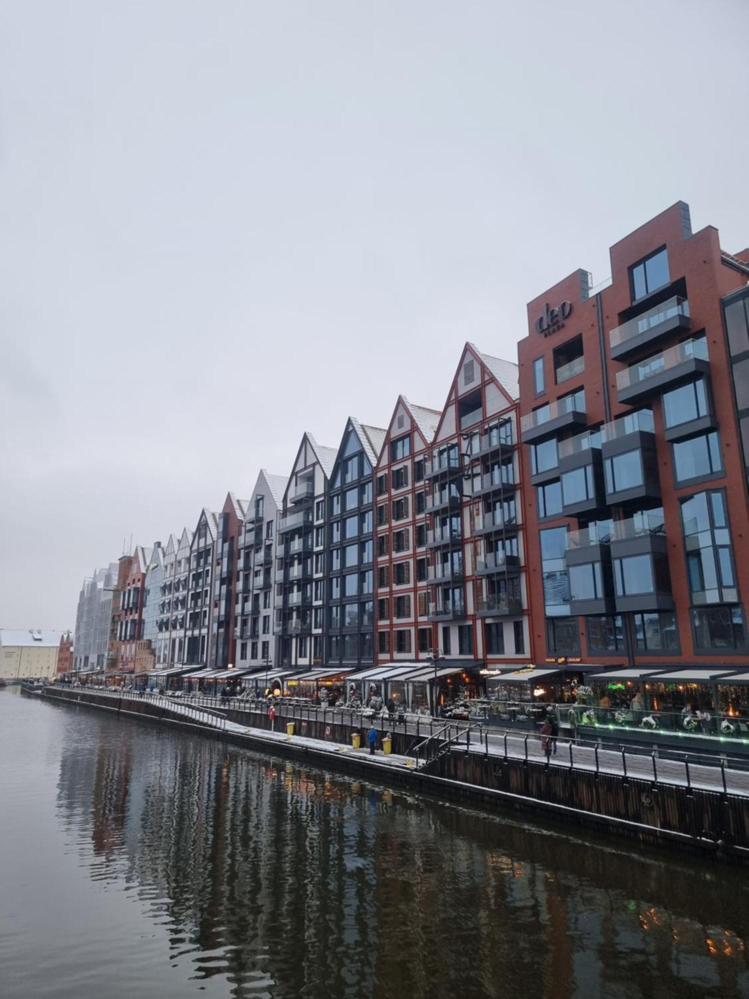 Birdnest Riverview Studio & Parking Apartment Gdansk
