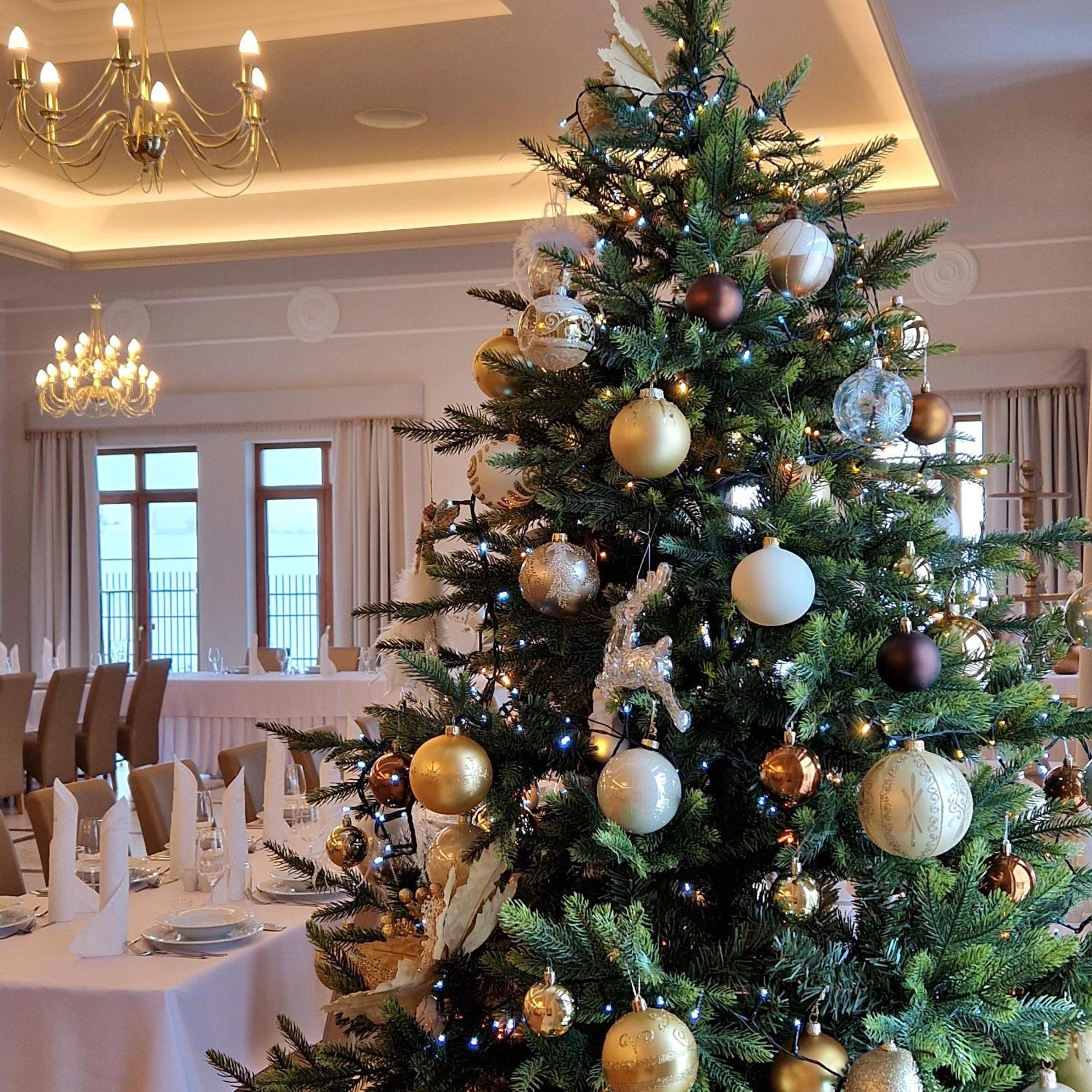Dom Zlote Pola Bed & Breakfast