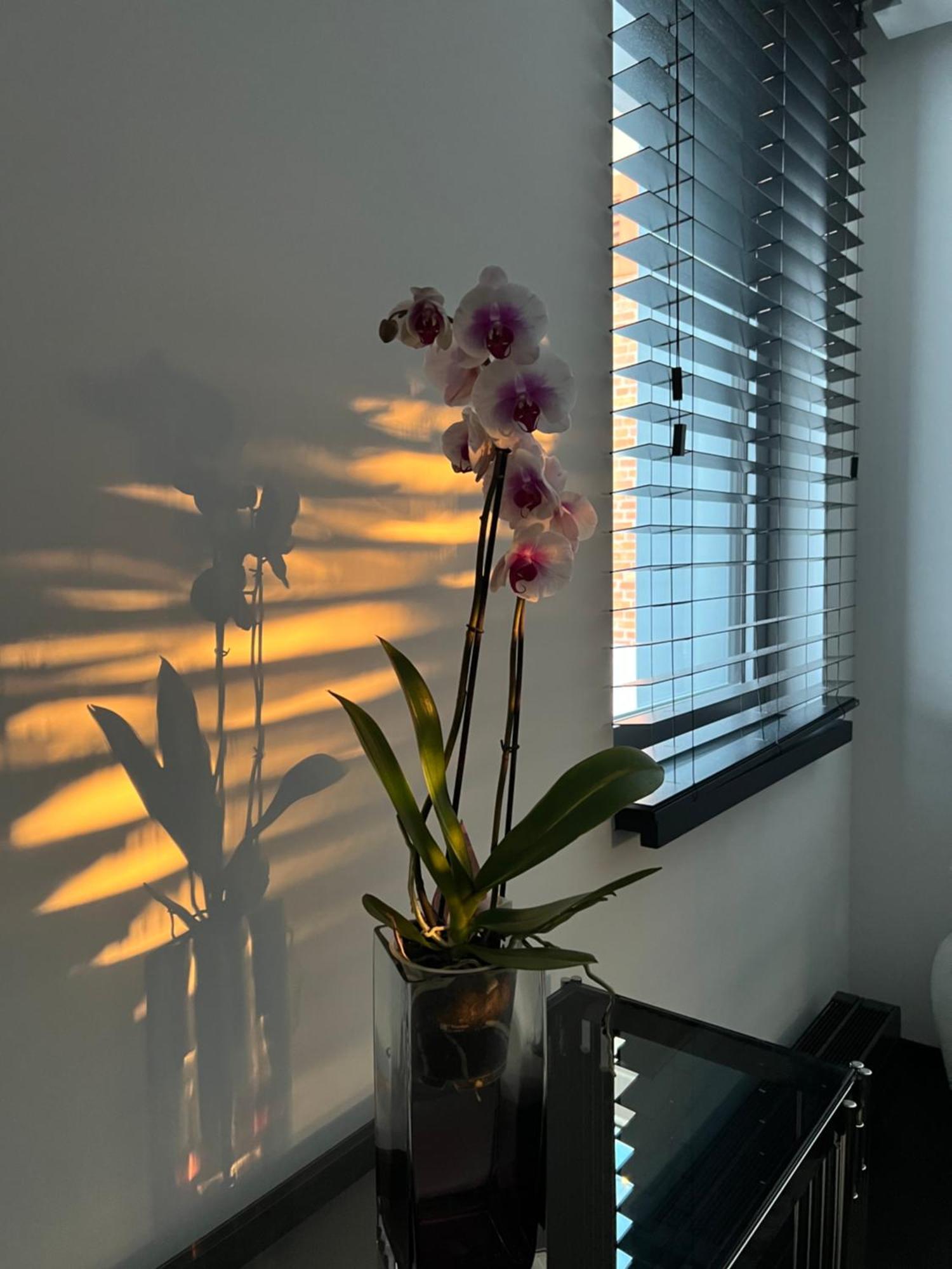 Baltic Riviera With Private Sauna Apartment Gdansk