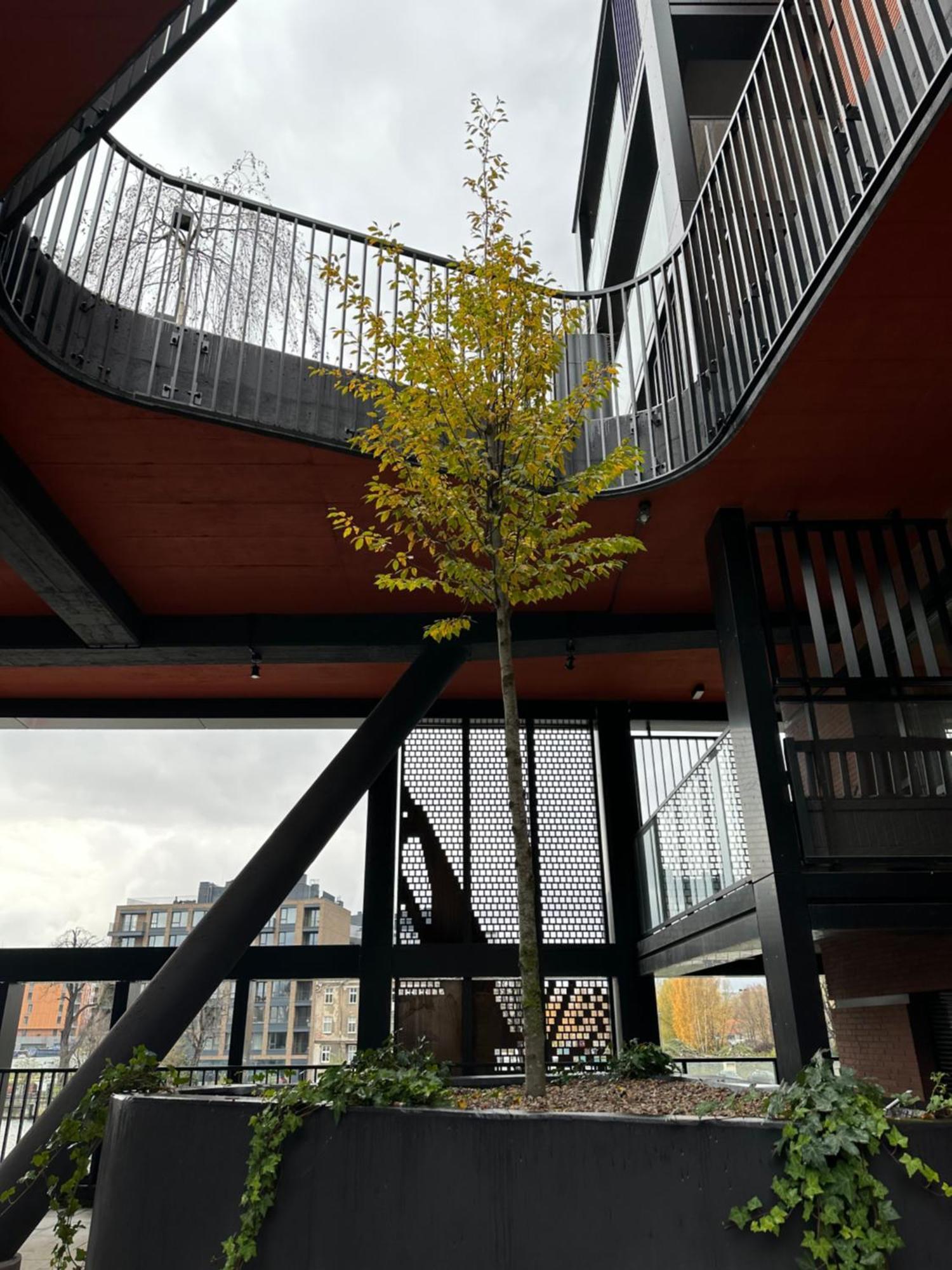 Eak Apartments-nadmotlawie Apartment *