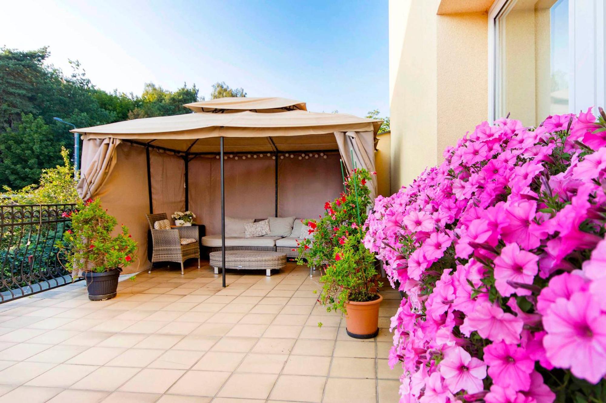 Dzika Plaza Homestay *