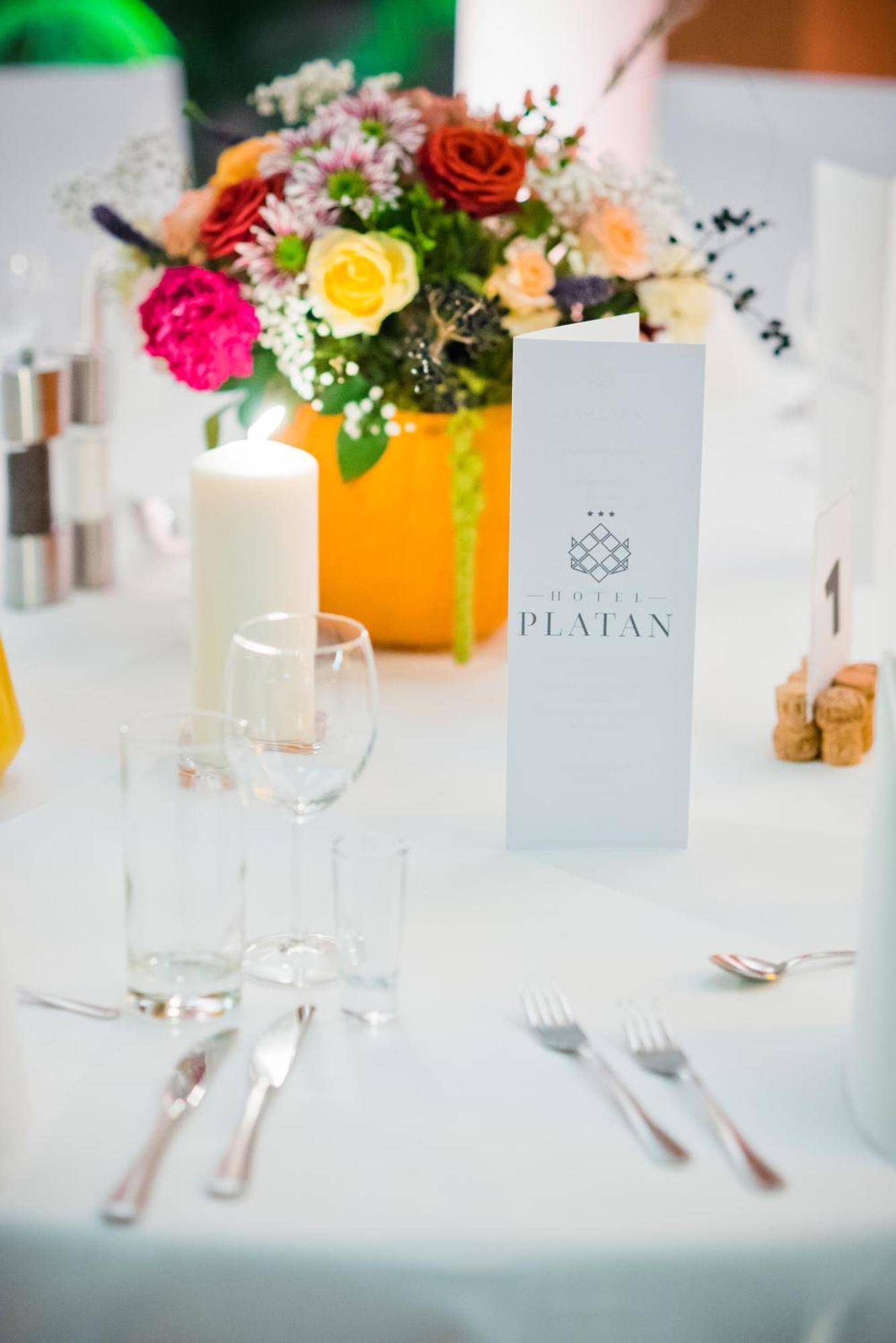 Hotel Platan 3*