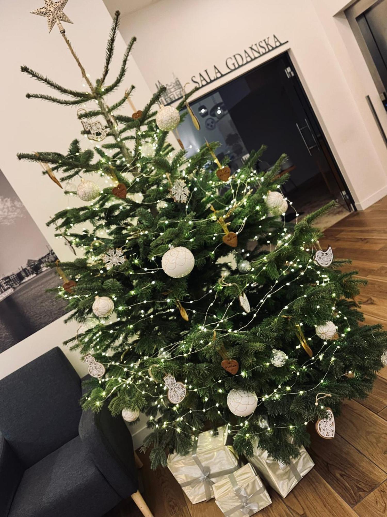 Platan 3* Gdańsk
