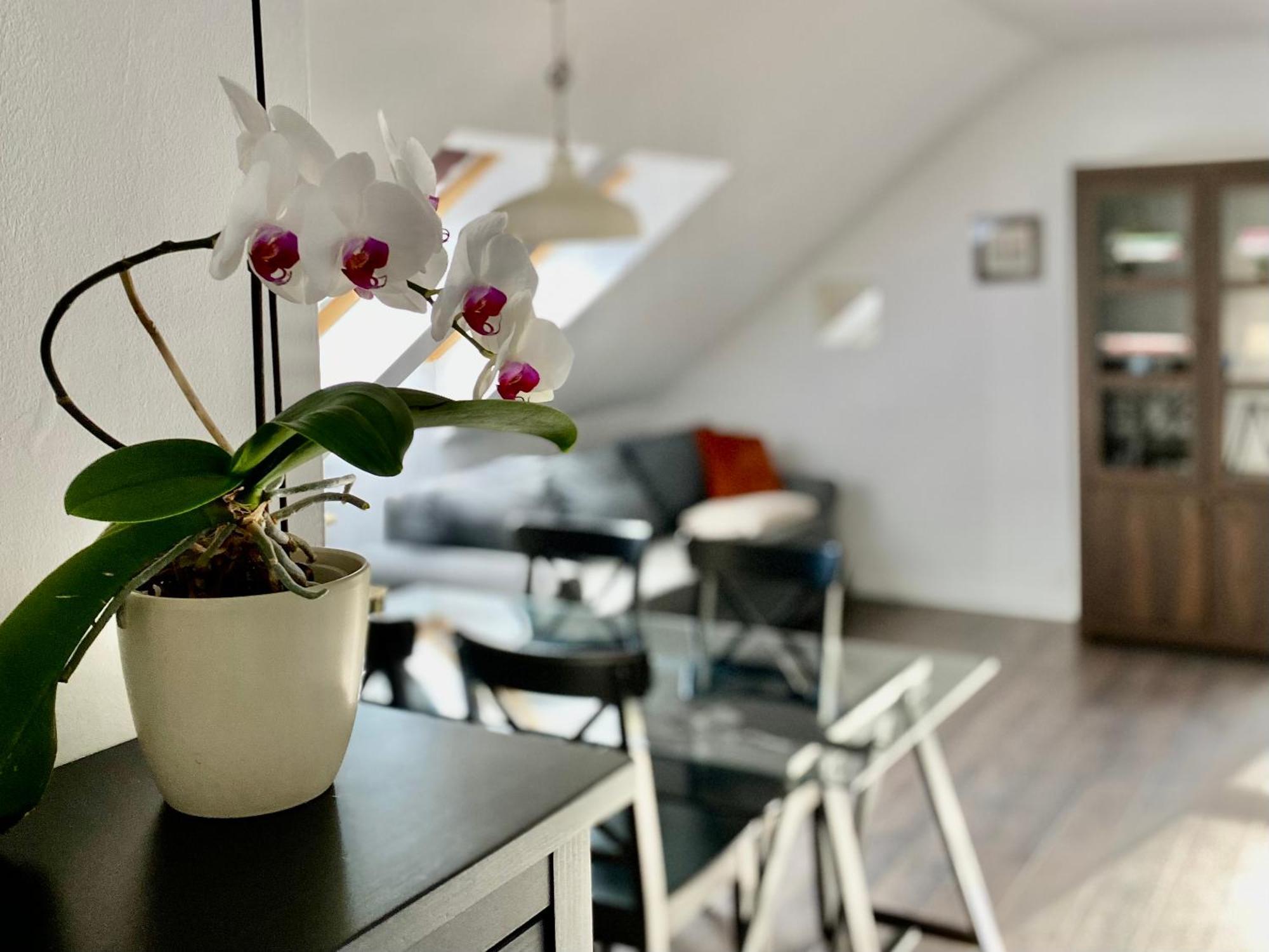 Storczykowa Airport Apartment *