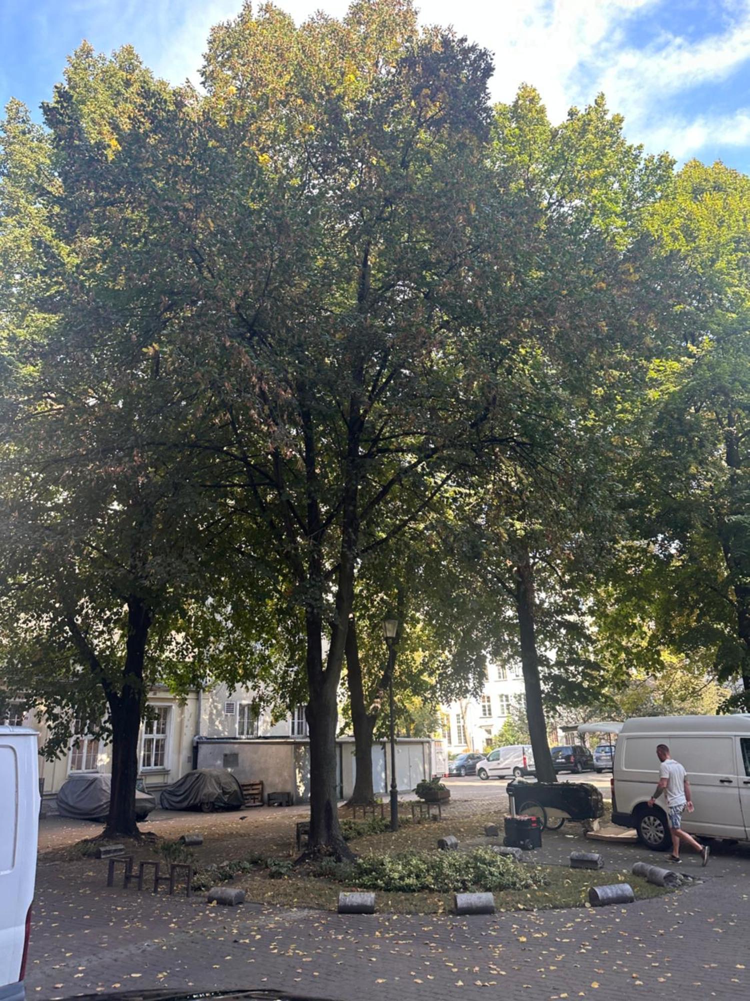 Przytulna Kawalerka Z Antresola W Sercu Gdanska Apartment Danzig