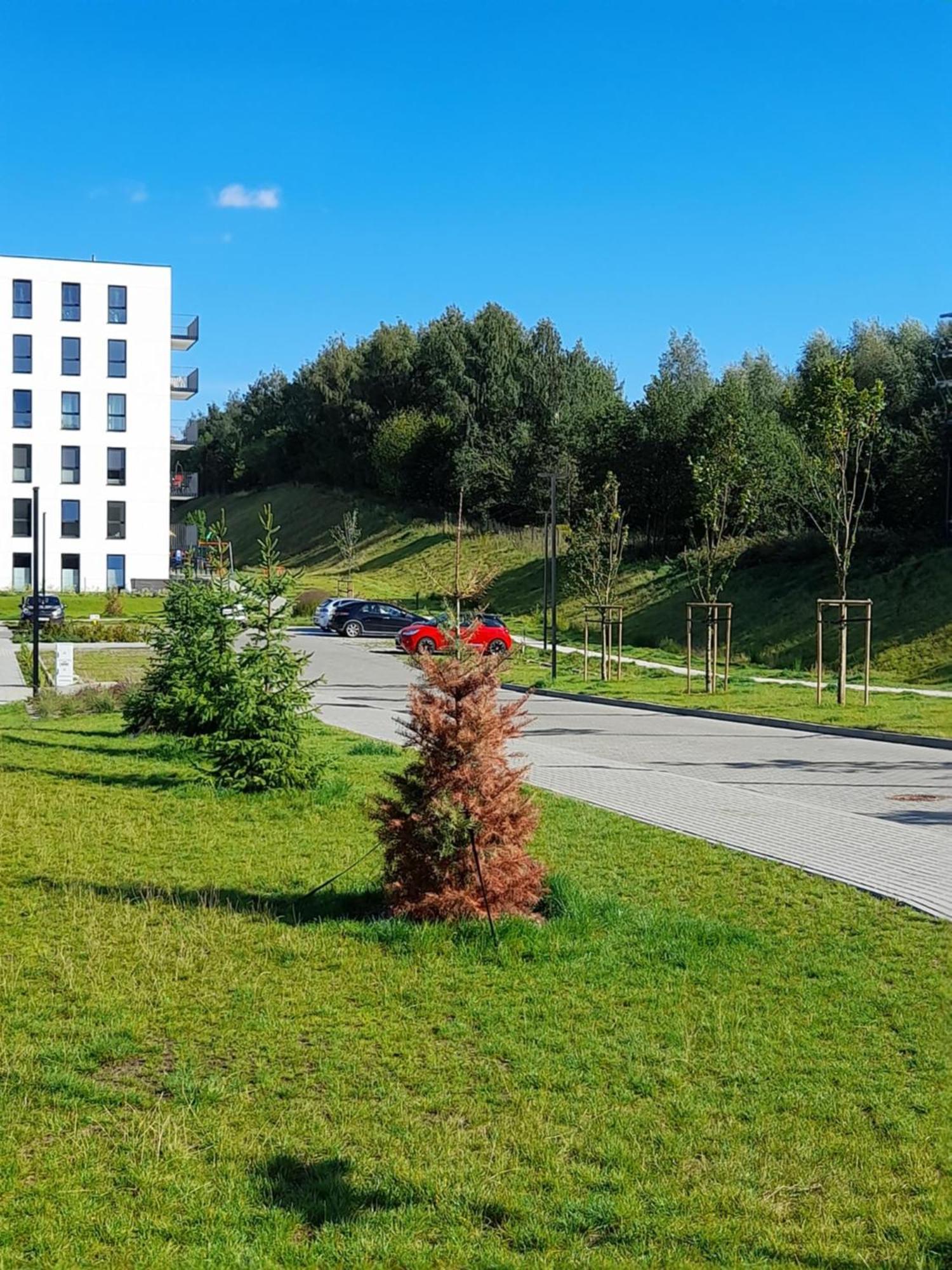 Apartament85.gdansk.
