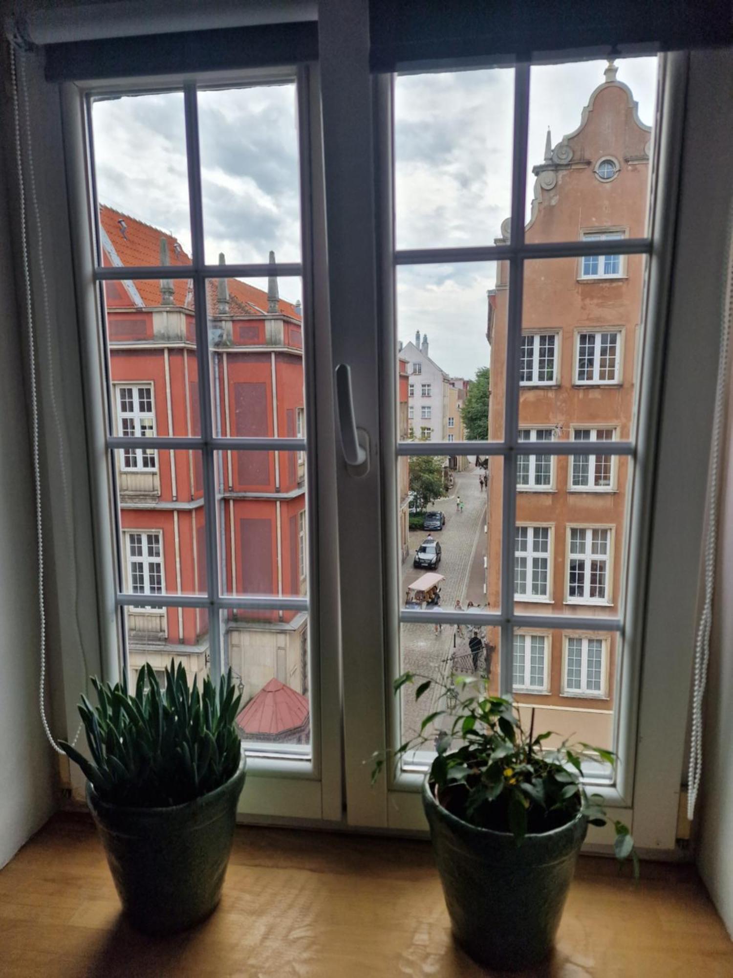 Old Town Dluga Apartment