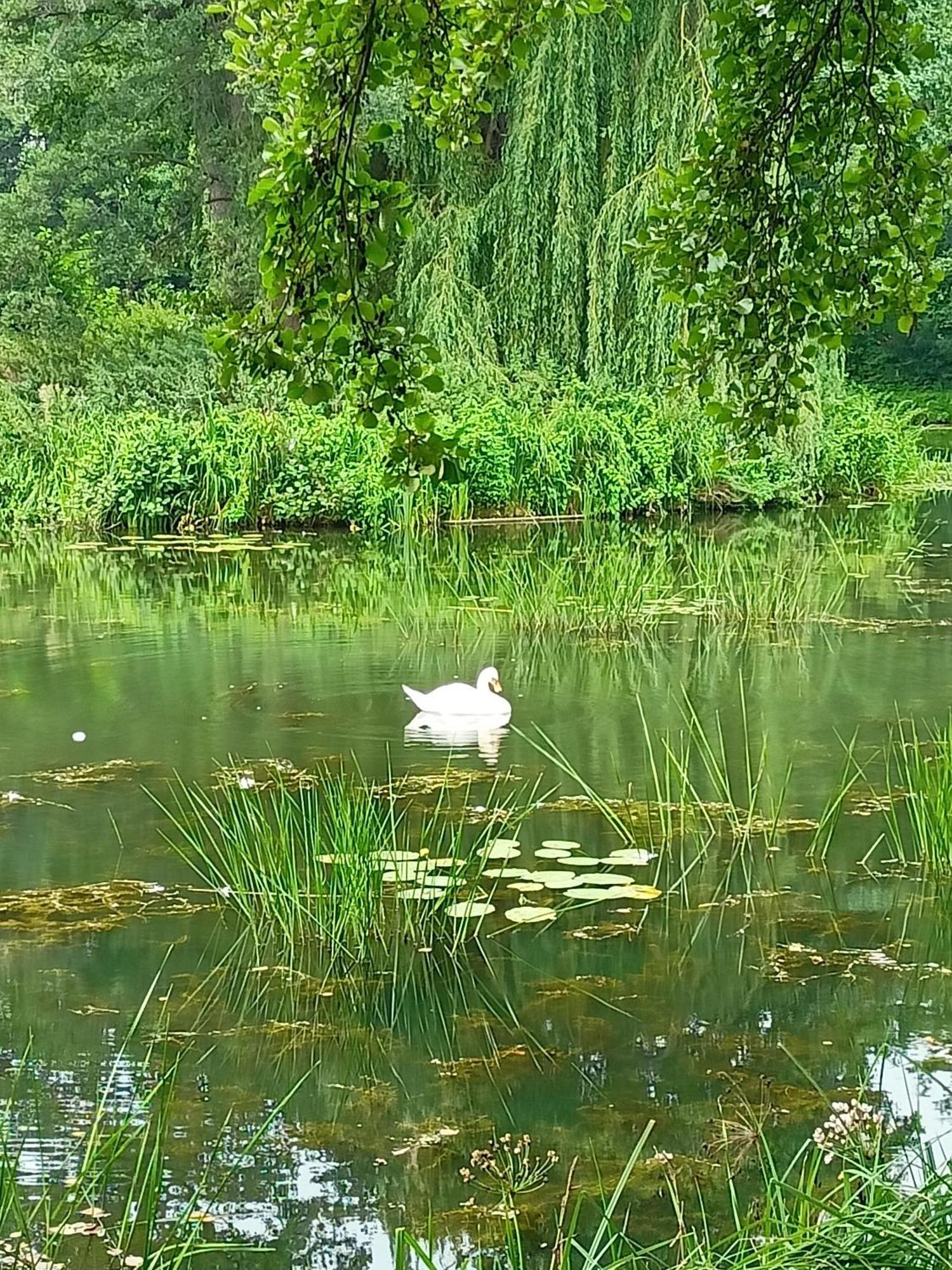 ,,zielona Przystan Nad Morzem