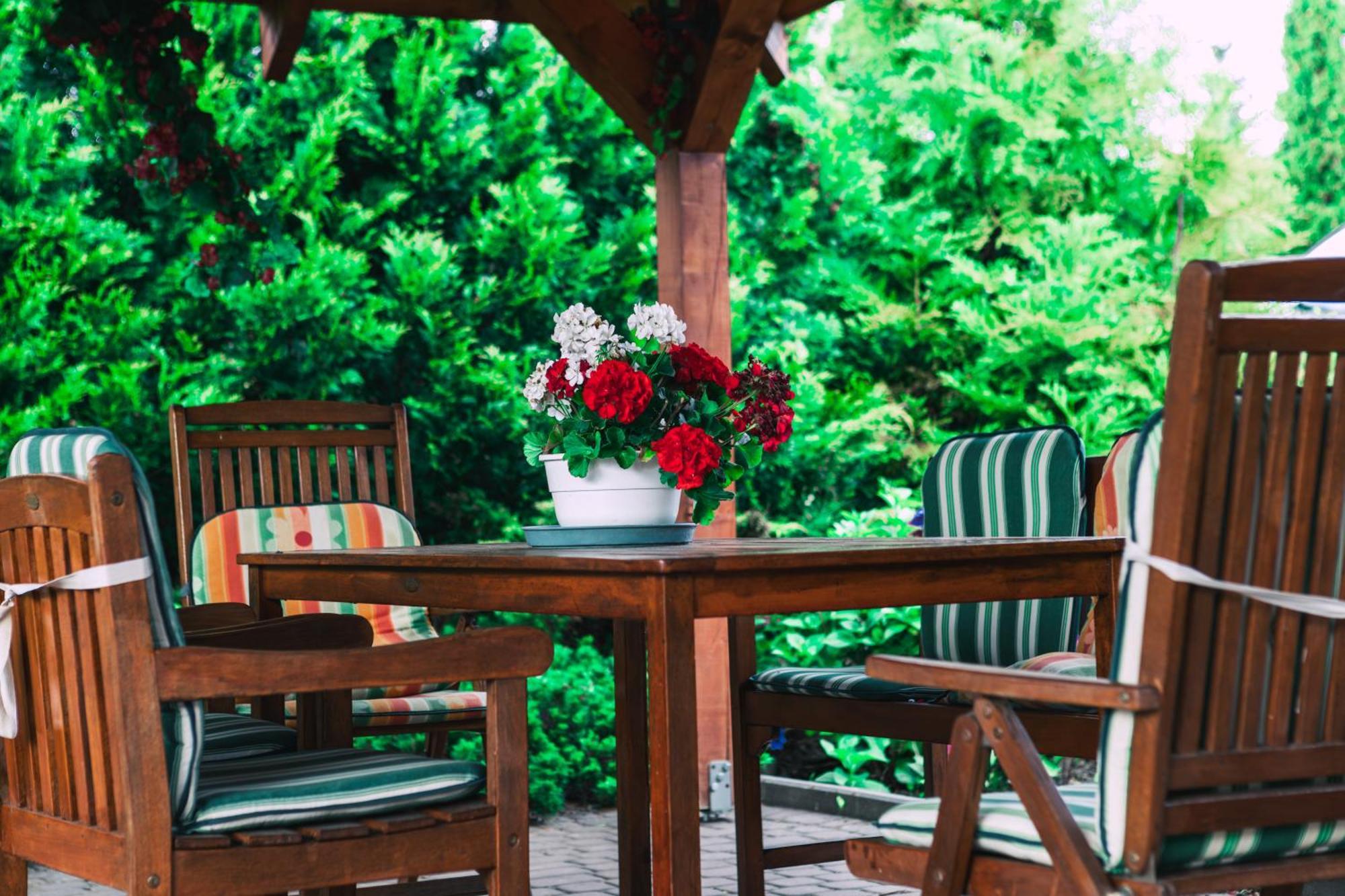 Homestay Morelowa Przystan Gdansk