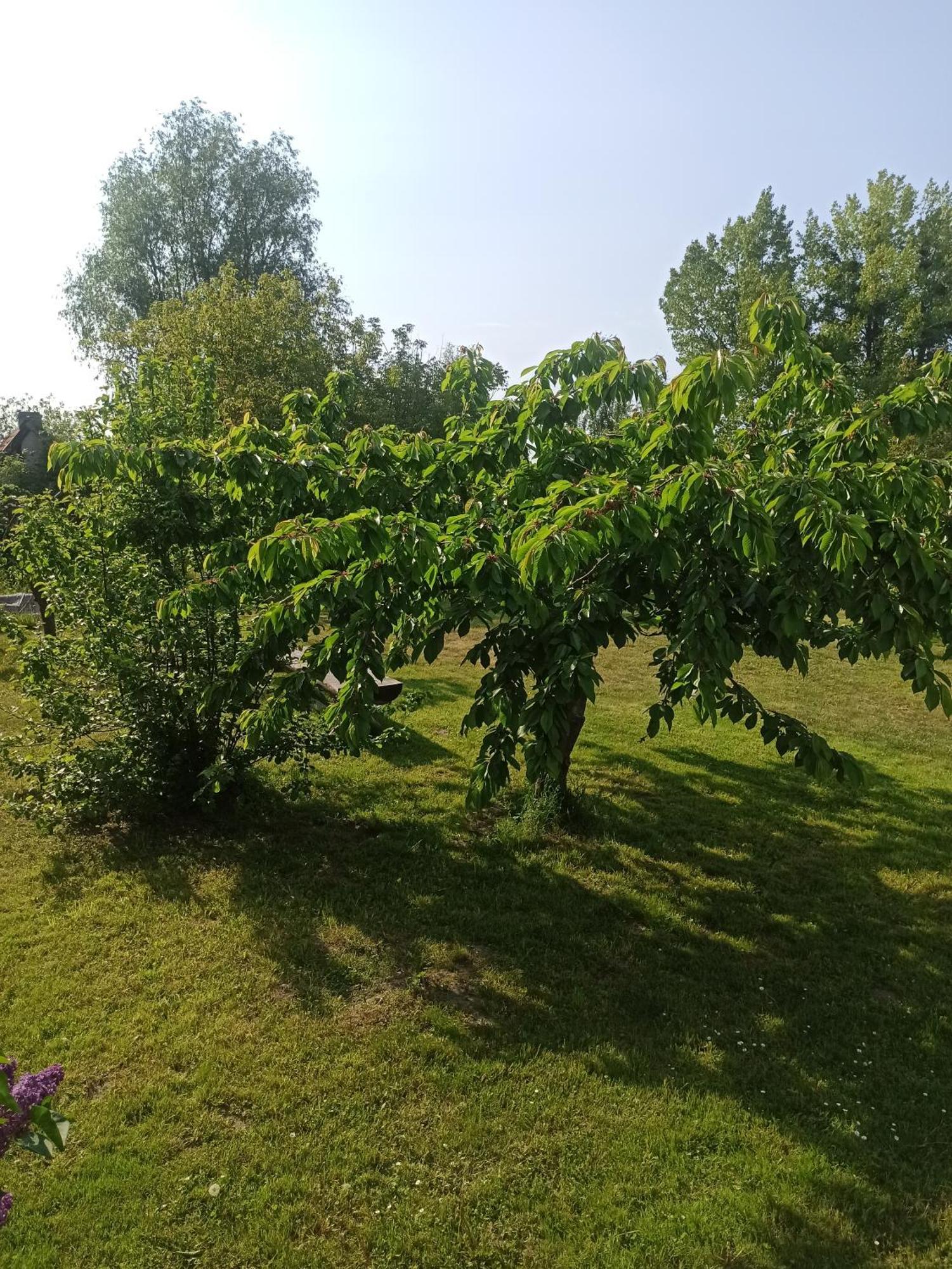 Zakatek Turysty lều Gdansk