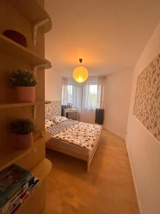 Przestronny Lejlighed
