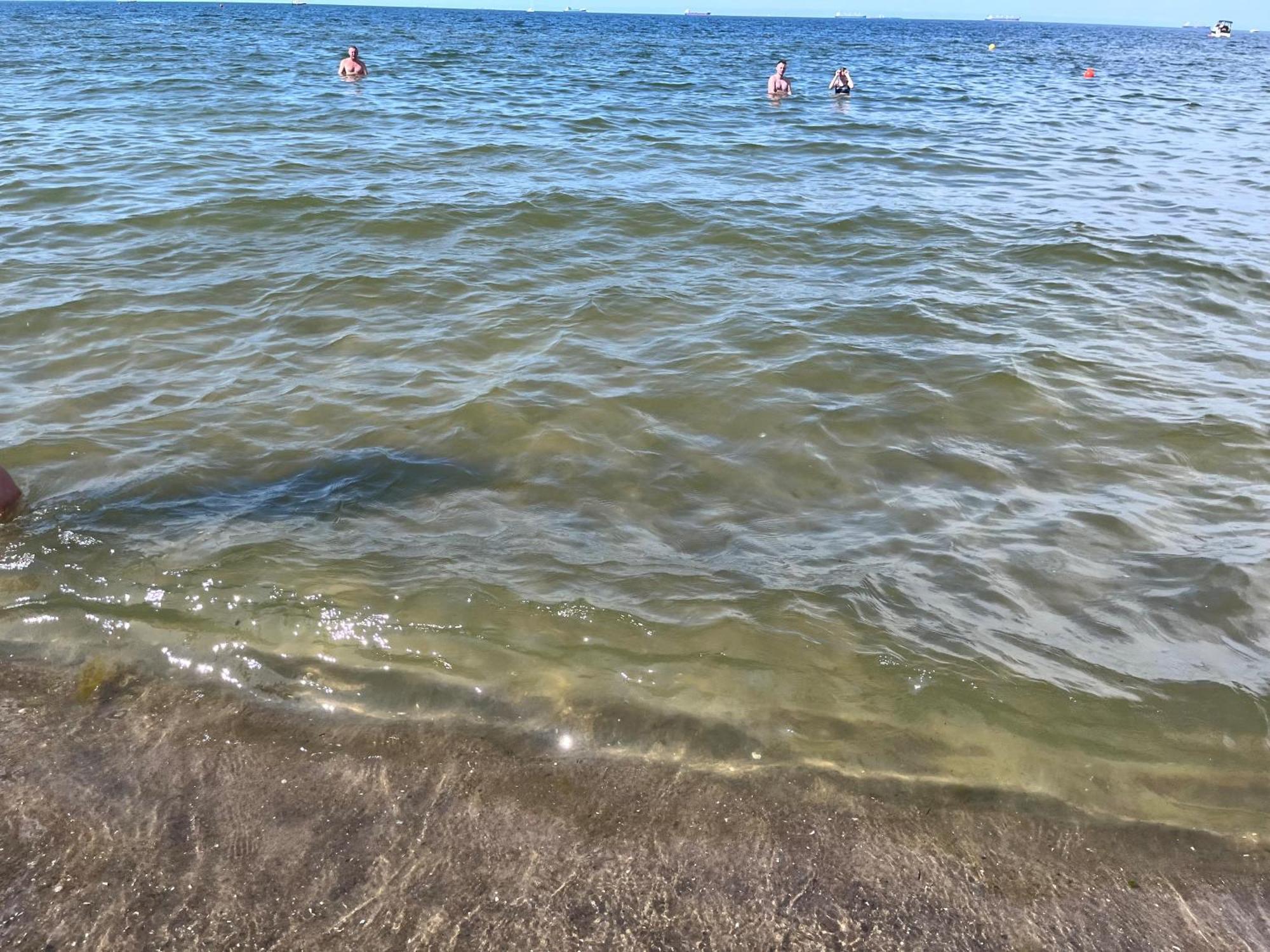Pod Zaglami Brzezno