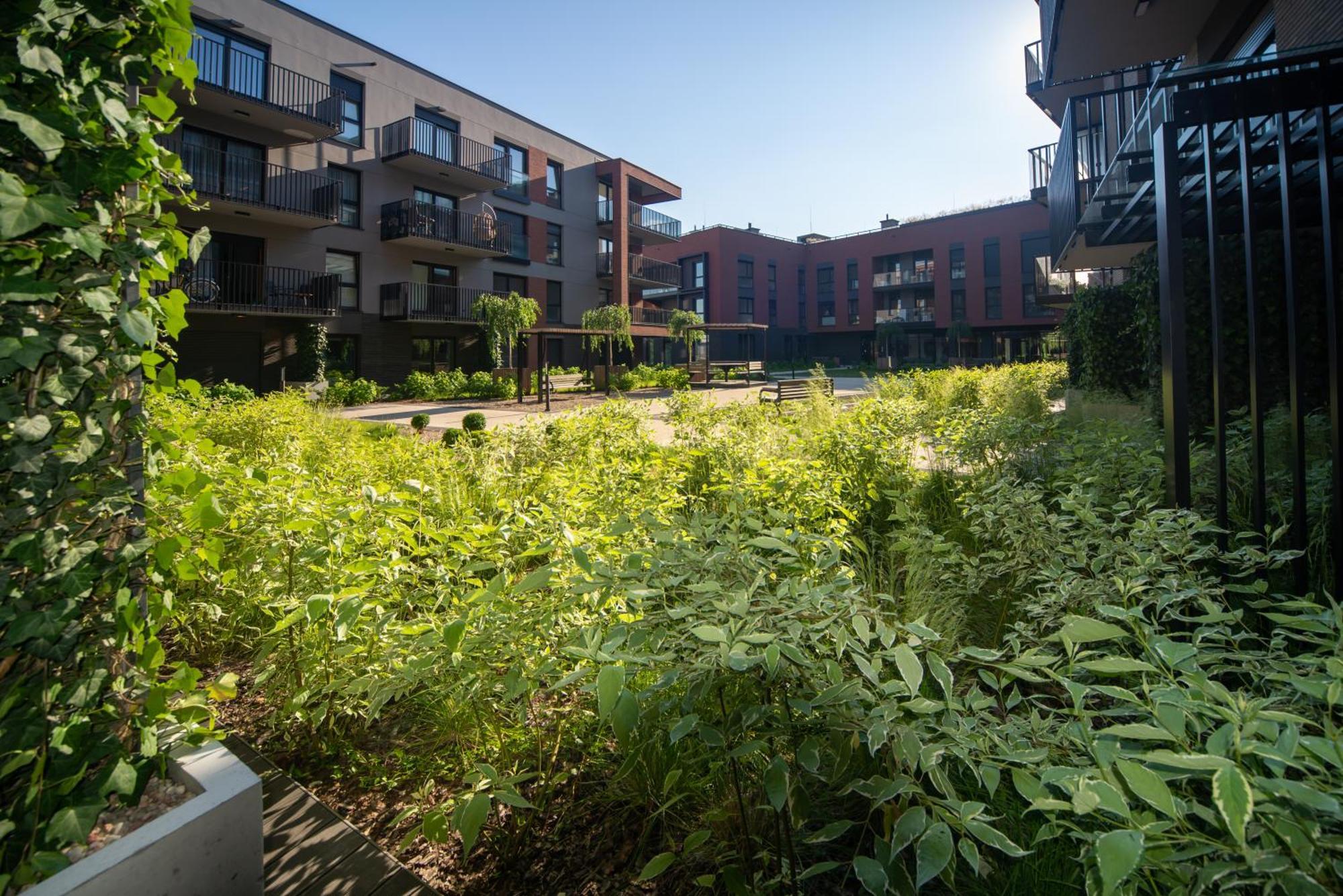 Lägenhet Maya's Flats & 15 - Nadmotlawie Gdańsk