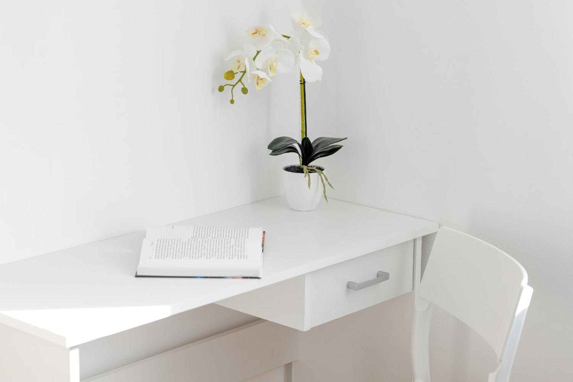 Apartment Sunny With Parking & Garden By Renters Gdansk
