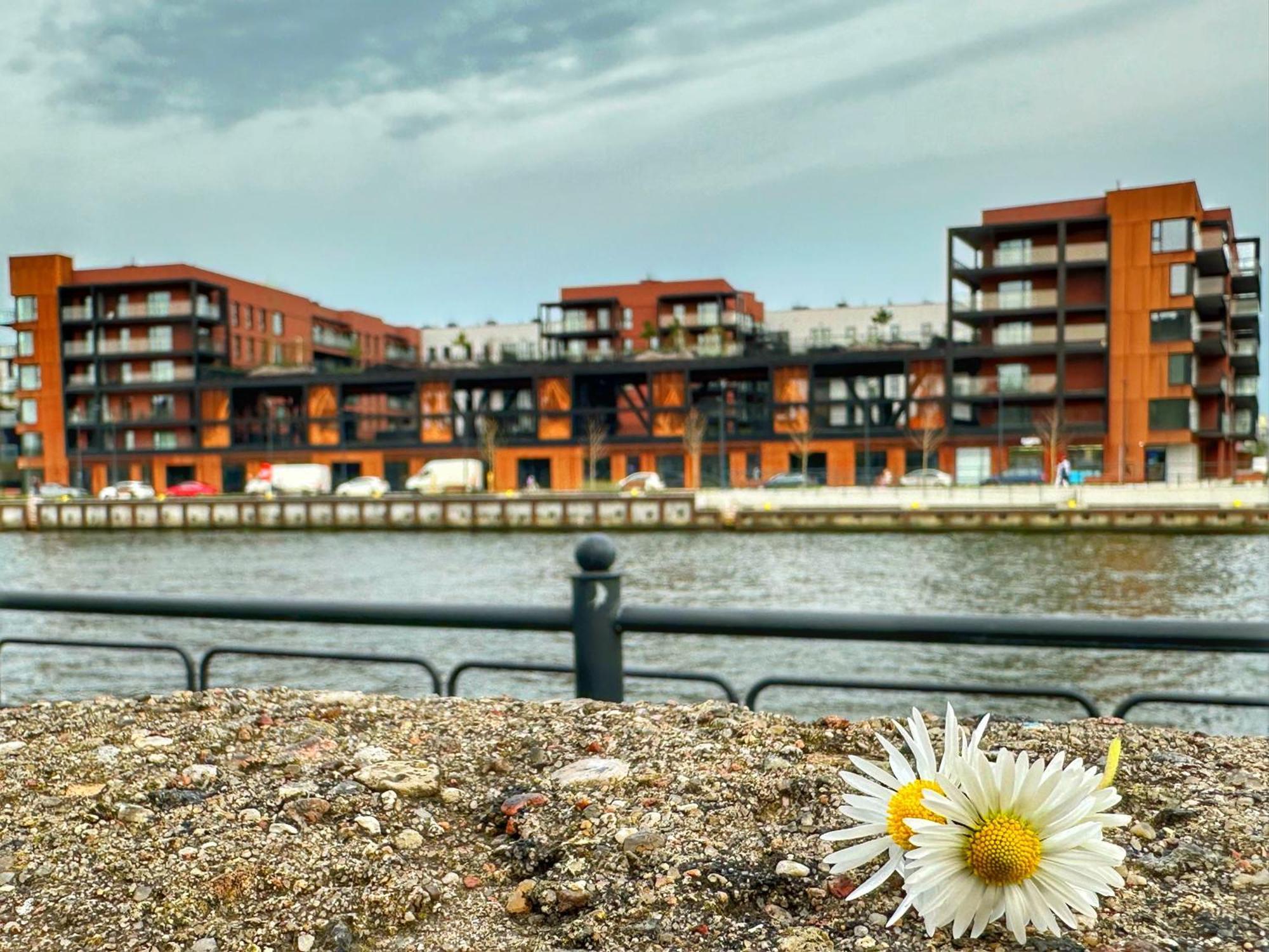 3 Waves Starowka- Gym, Sauna, Kidsplay, Parking Apartment *