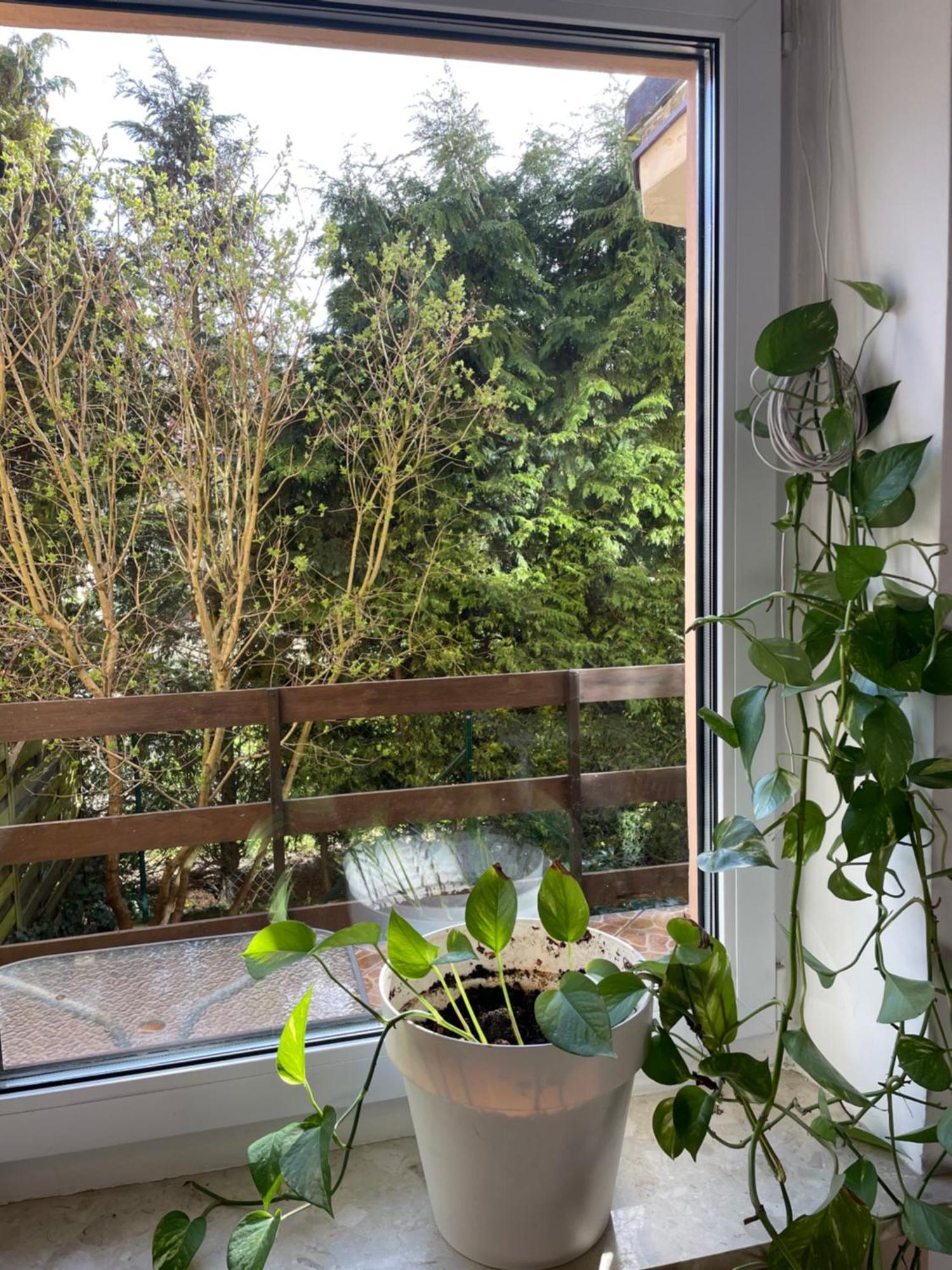 Apartamento Airport Gdańsk