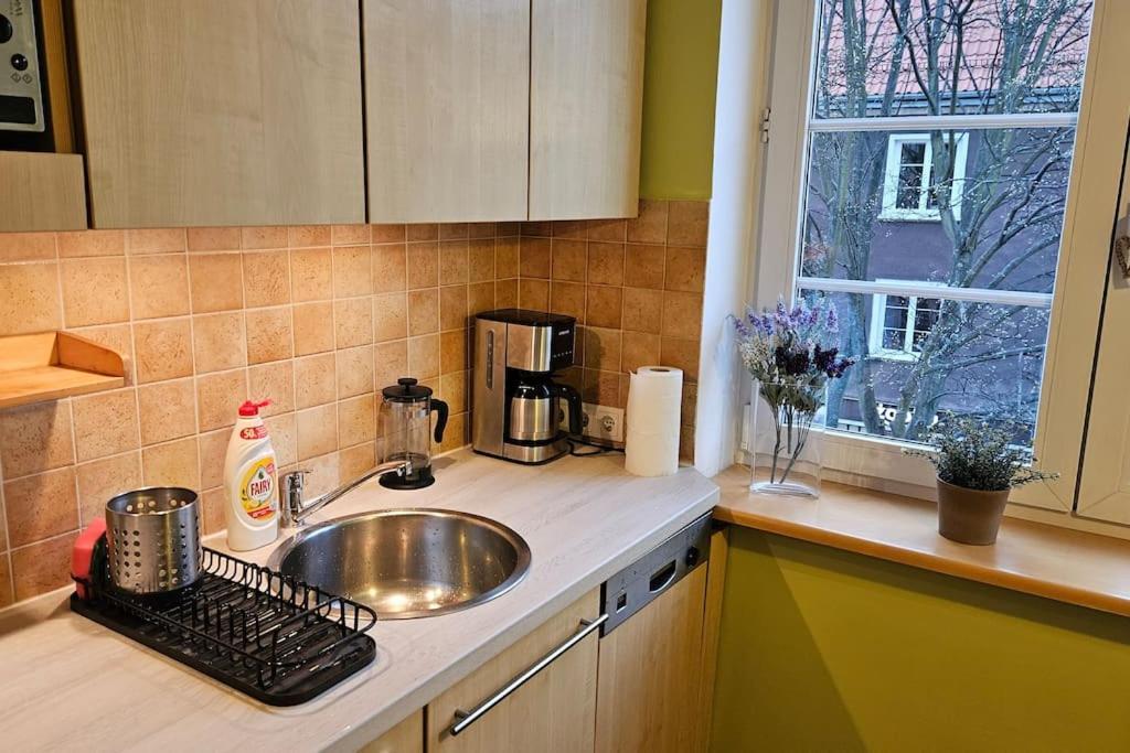 Grobla Iii Old Town Parking Free Apartment Gdansk