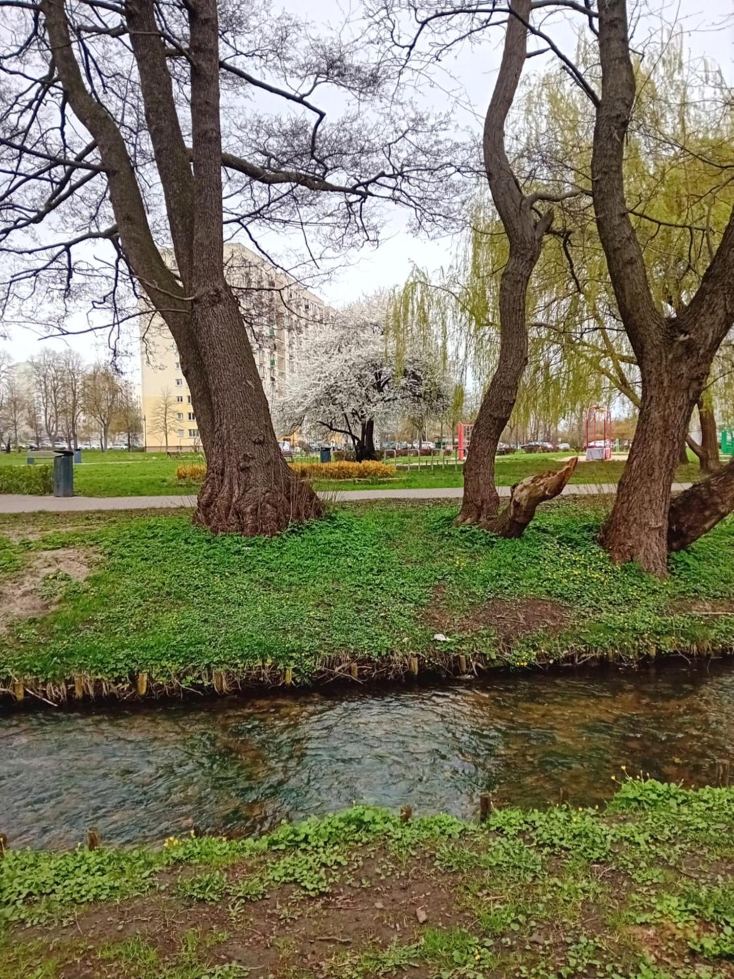 Homestay U Igi Gdansk