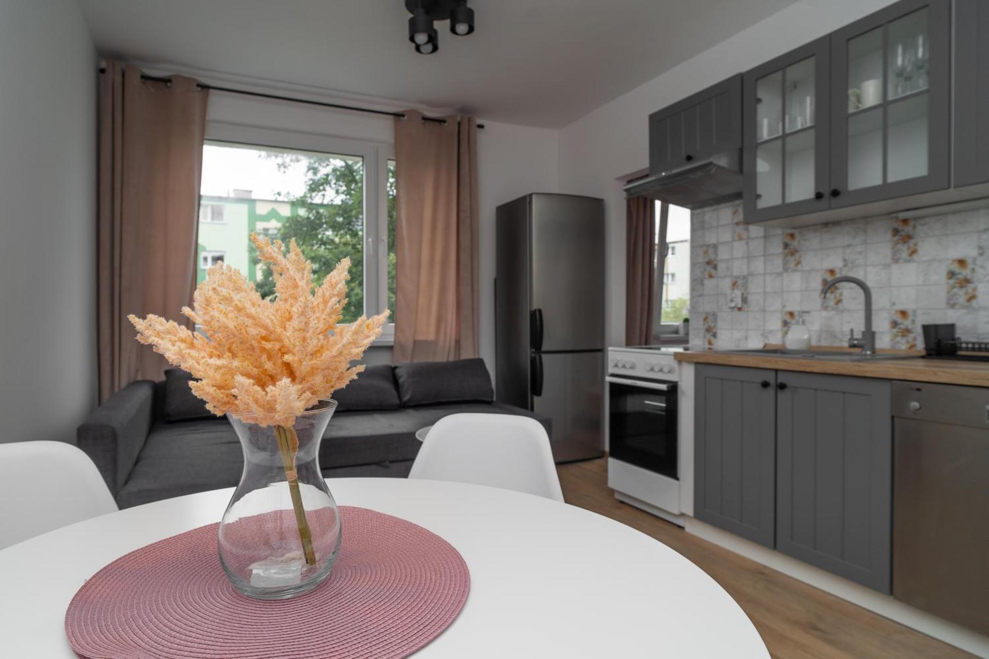 Apartment Totu Baltic Przymorze