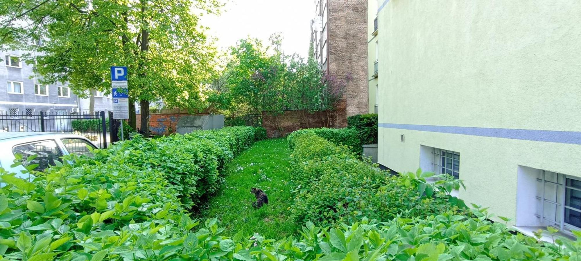 Apartment Katarzynka Stare