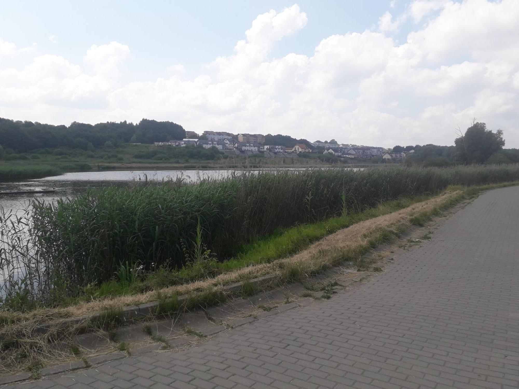 Apartment Sloneczne, Komfortowe Z Osoba Kuchnia Gdansk