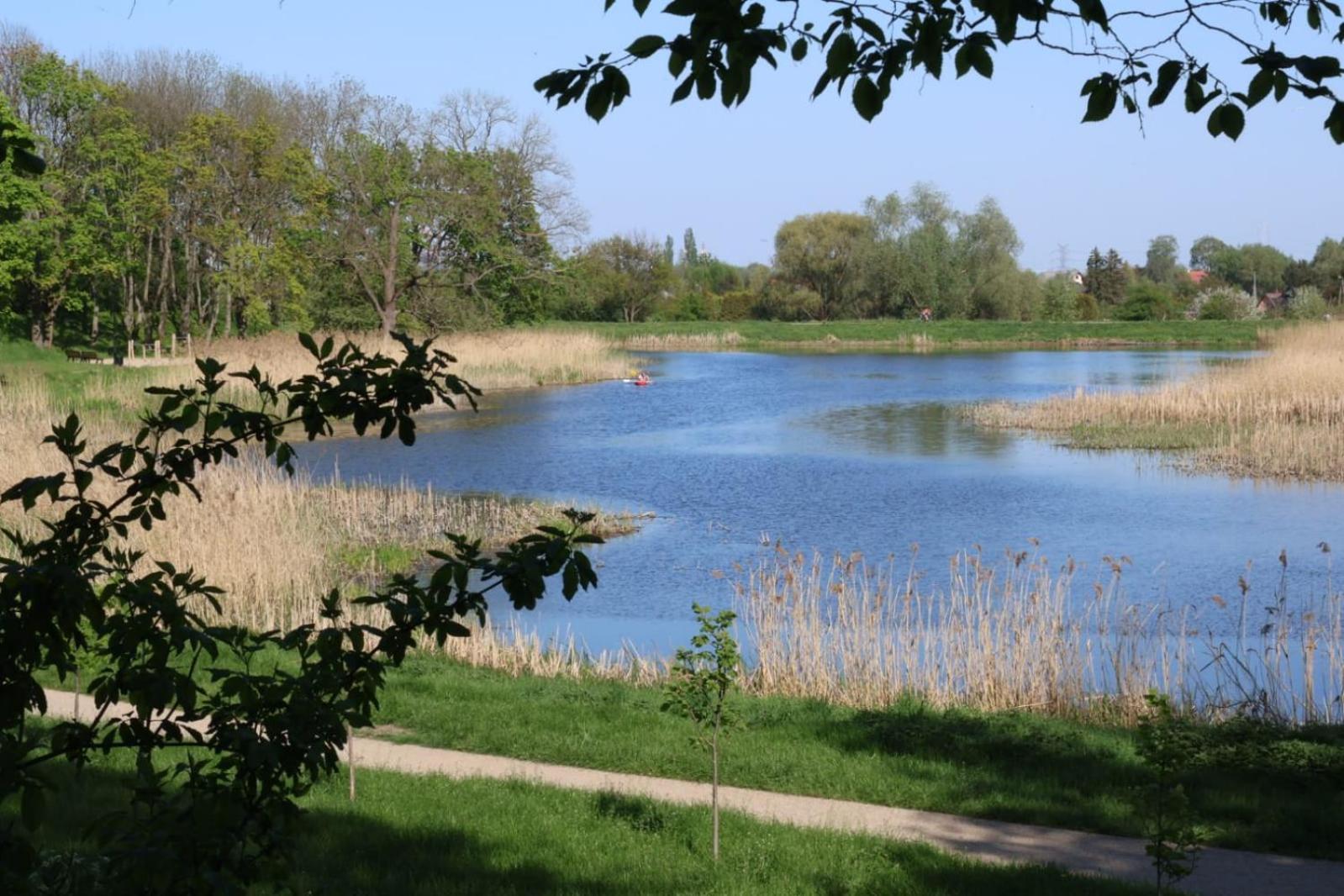 Apartament Kamienna *
