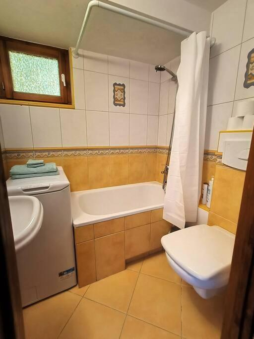 Old Town Mezzanine Apartment Gdansk