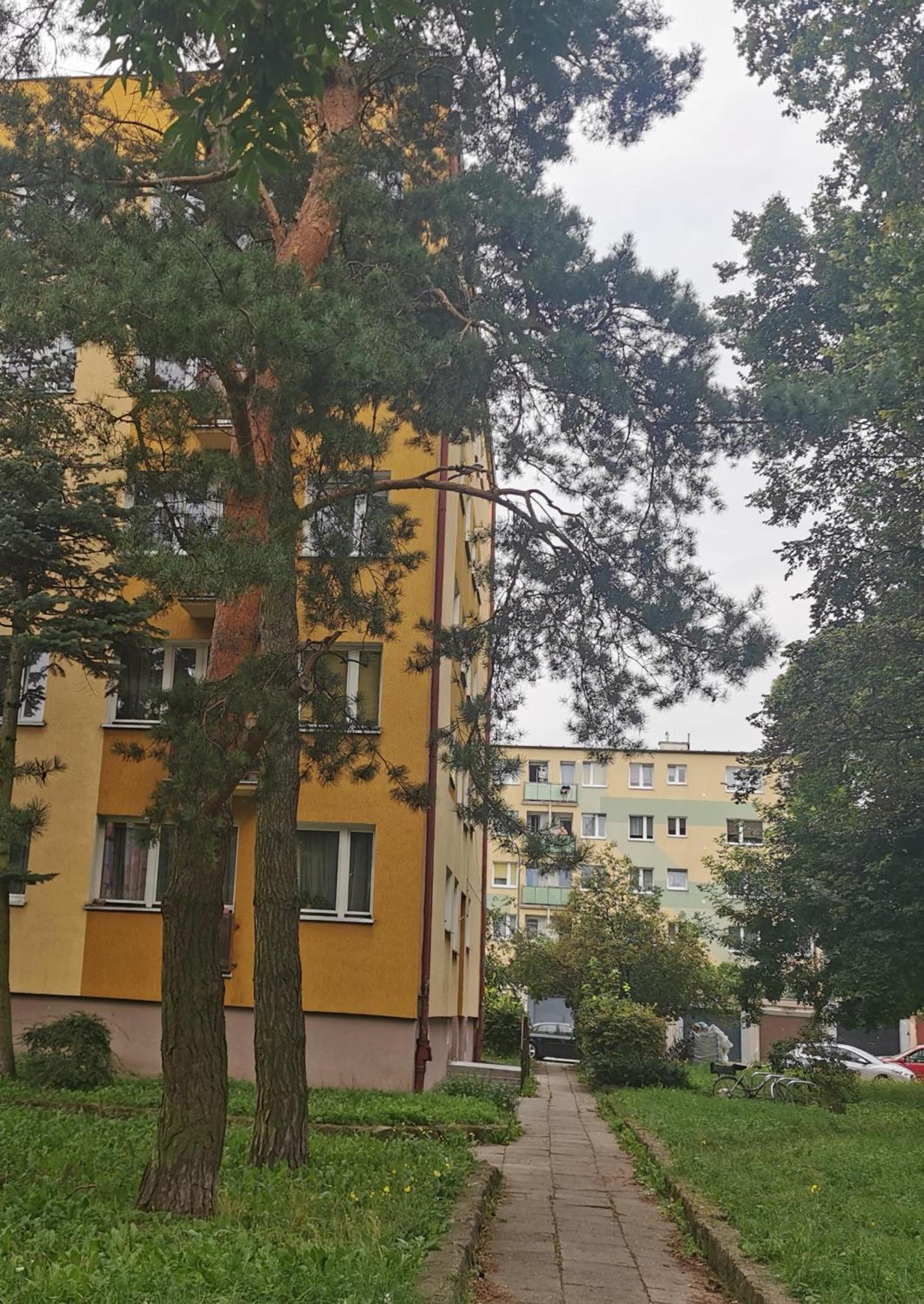 Mieszkanie Brzezno Przy Plazy Gdańsk