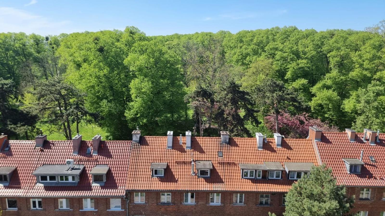 On Top Of The World Apartment