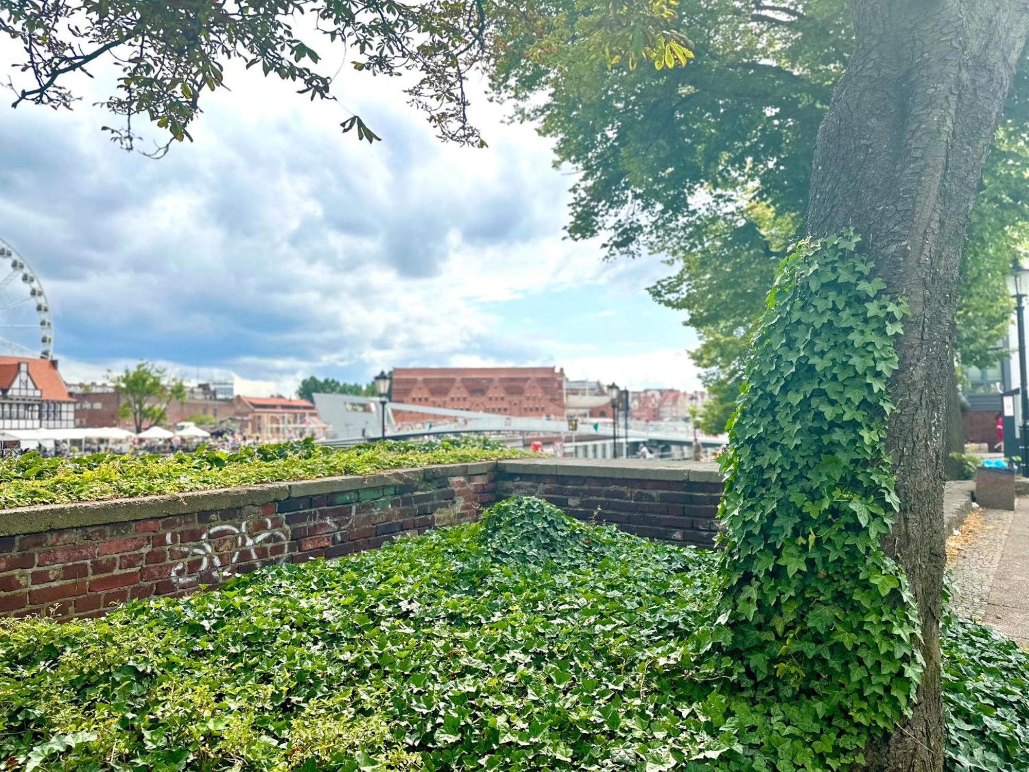 Hospedagem domiciliar Mmrent Jungle Gdańsk