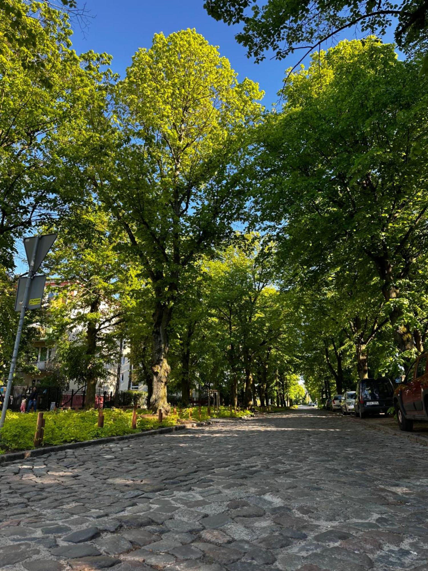 65m2 W Spokojnej Oliwskiej Okolicy Apartment Gdansk