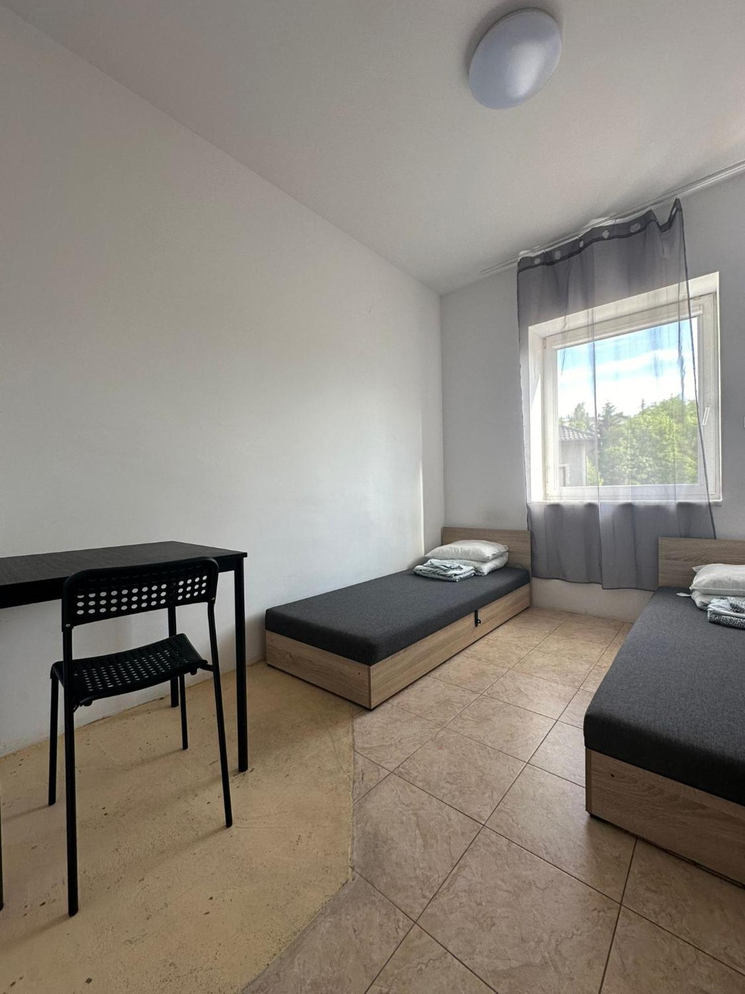 Sharpei Homestay Gdansk
