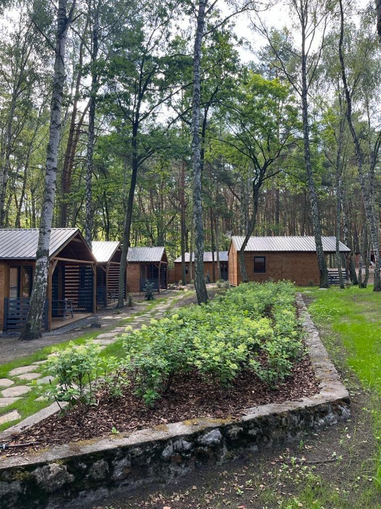 Hotel Kawena *