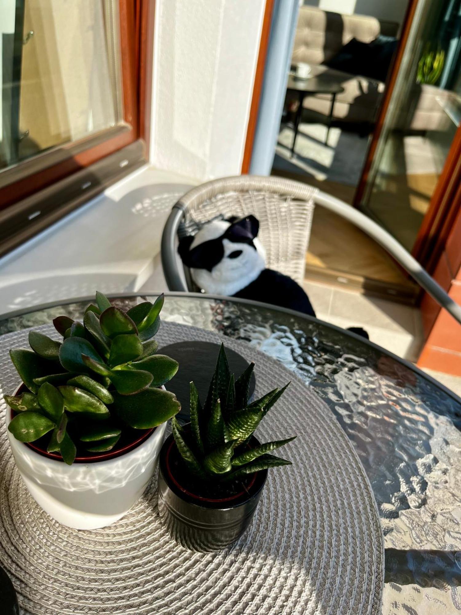 Garnizon Zen Apartamento Gdańsk