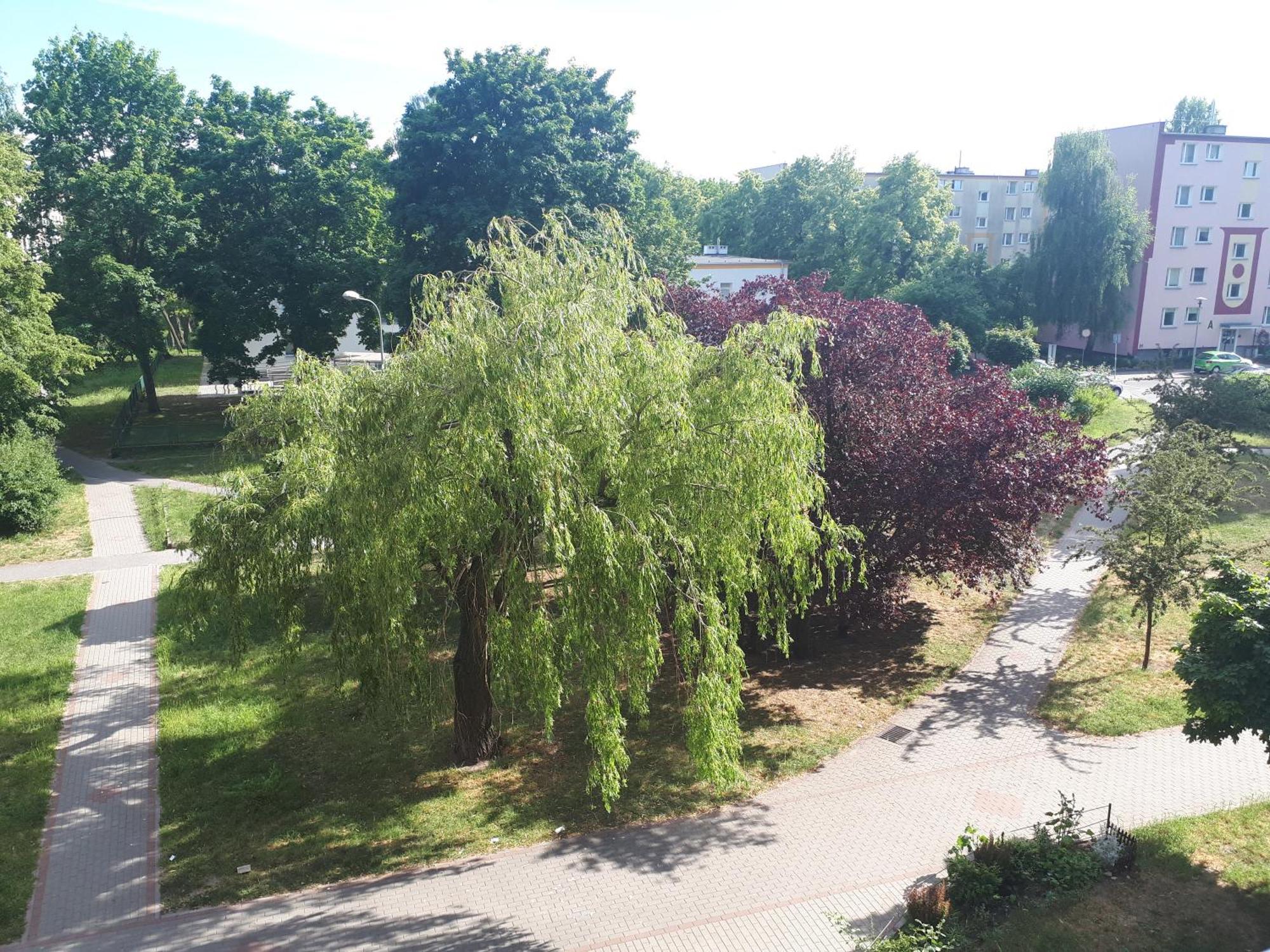 Piastowska 90 C, 2-pokojowe Mieszkanie Do Wynajecia Gdansk