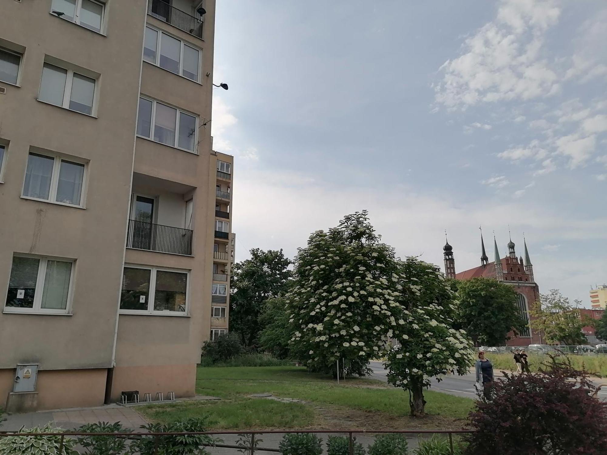 Lejlighed Torunska