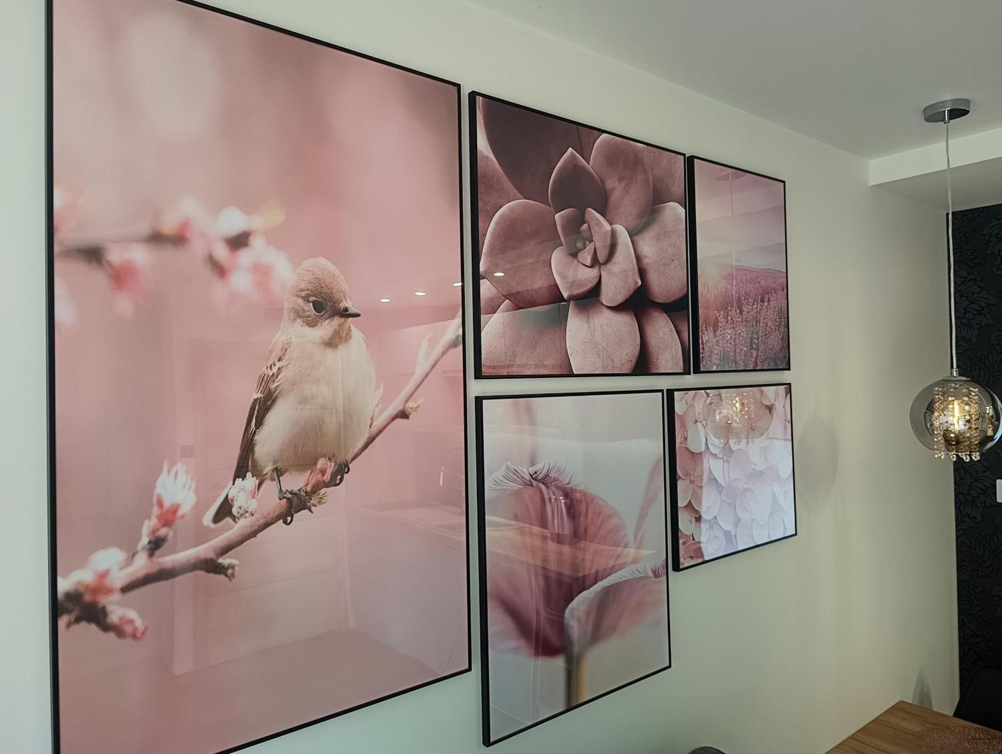 Aster Aparts Wyspa Sobieszewska Apartment Gdansk