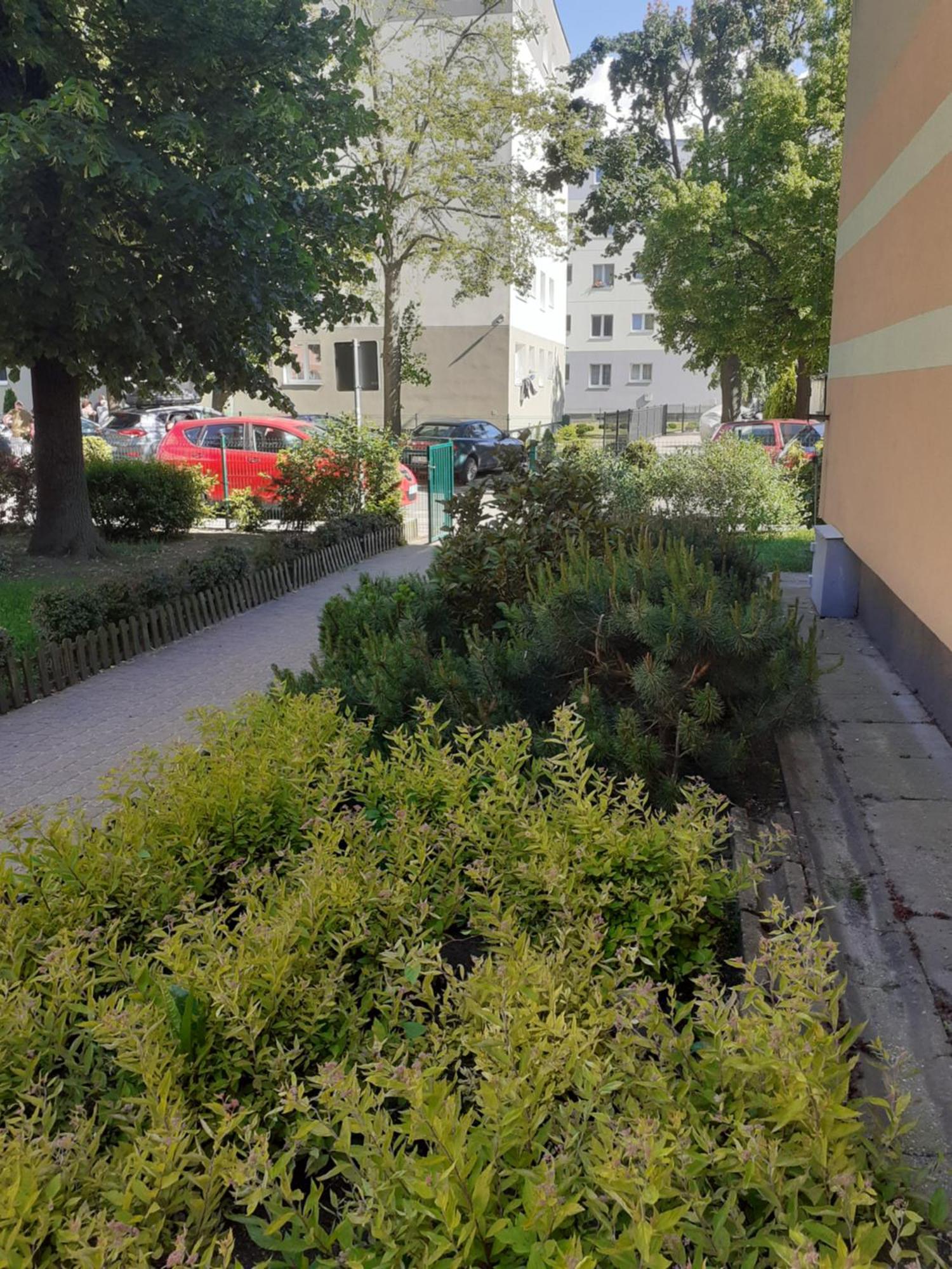 Mieszkanie Nad Morzem Przymorze Apartment