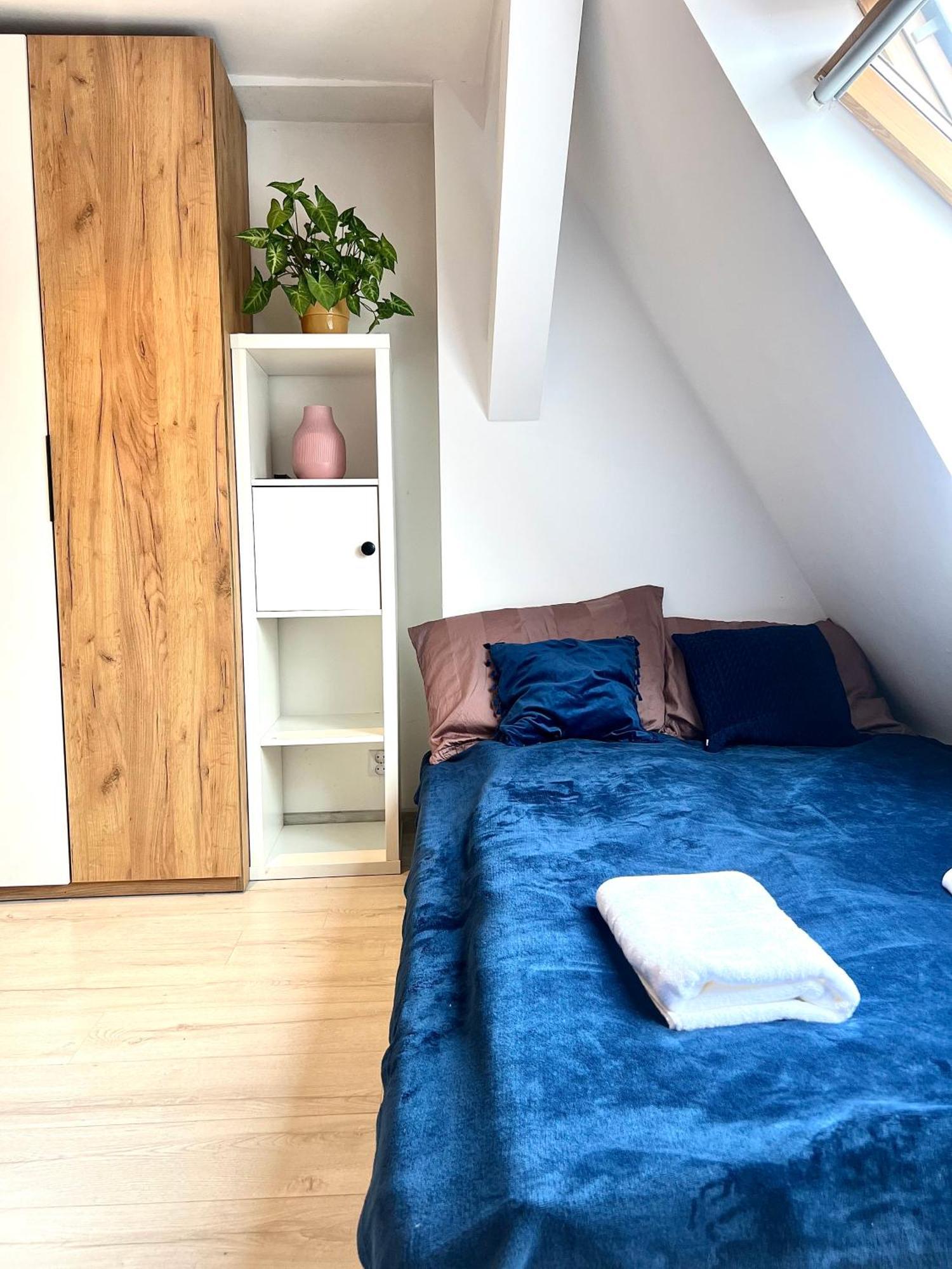 Cosy Studio Gdansk