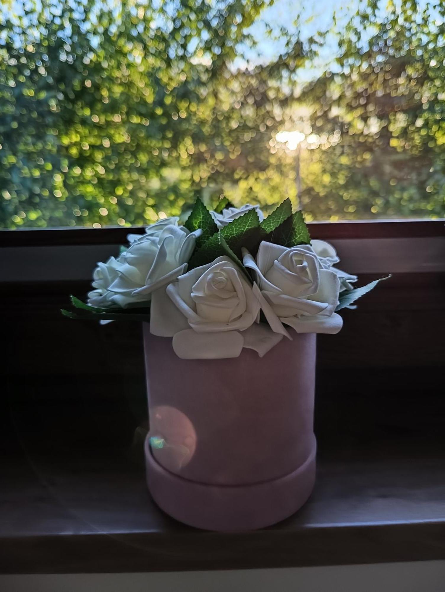 Lägenhet Aster Aparts Wyspa Sobieszewska Gdańsk